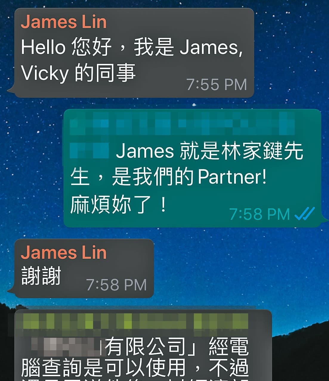 Vicky首次股東會議後,就將林家鍵介紹給相關人士認識,還稱他是partner(夥伴)。(讀者提供)
