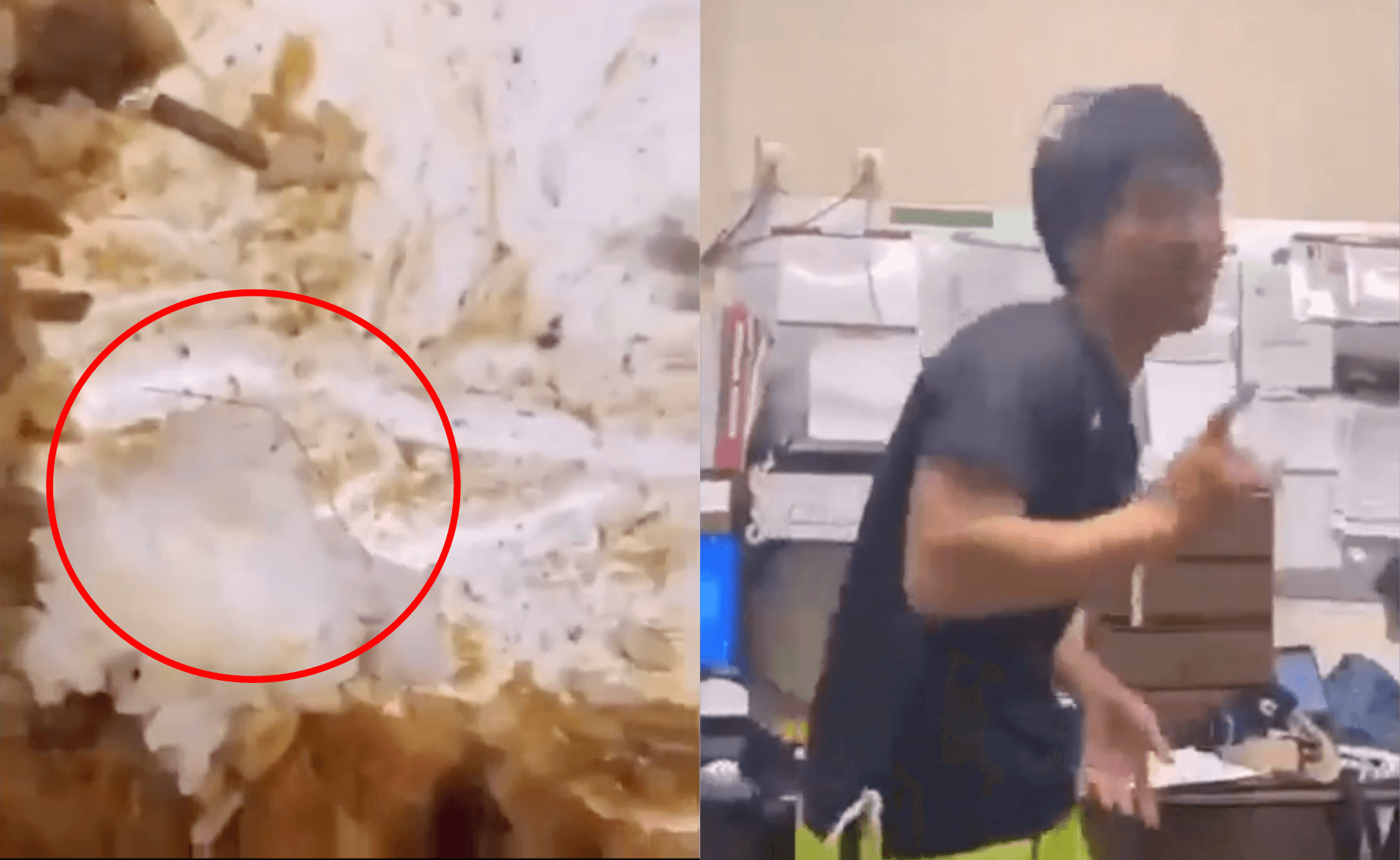 二宮孝文將體毛丟入盤中後,在一旁開心手舞足蹈。(翻攝自推特)