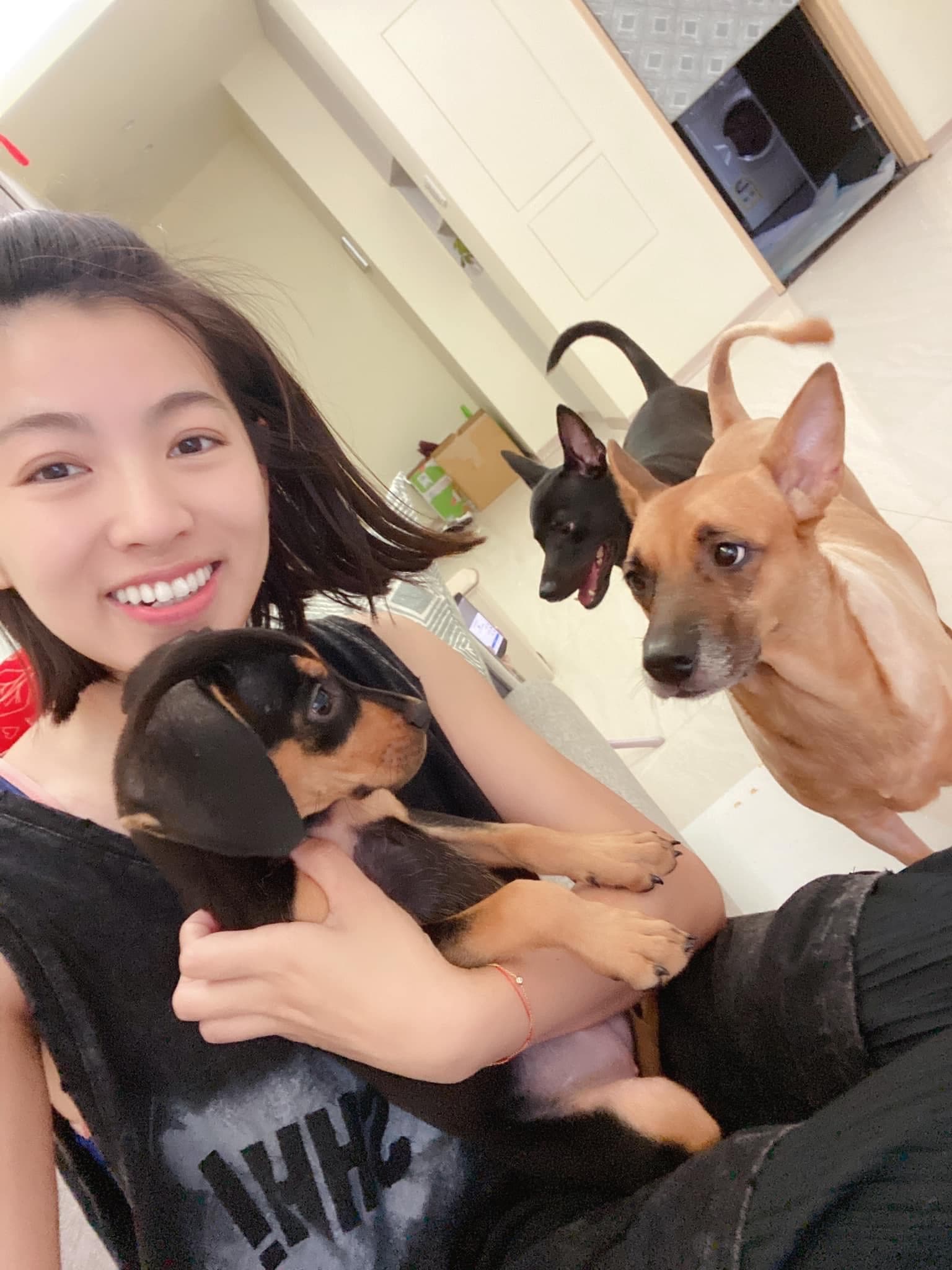 米可白雖然曾有過6年婚姻卻未生育,但她視領養的流浪犬宛如兒女。(圖/翻攝自米可白臉書)