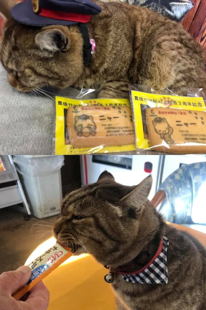 Nya把車站當作自己家，到處睡覺也拿到不少人貢獻的「供品」。（翻攝自臉書專頁「豊後竹田駅ねこ駅長のニャー」）