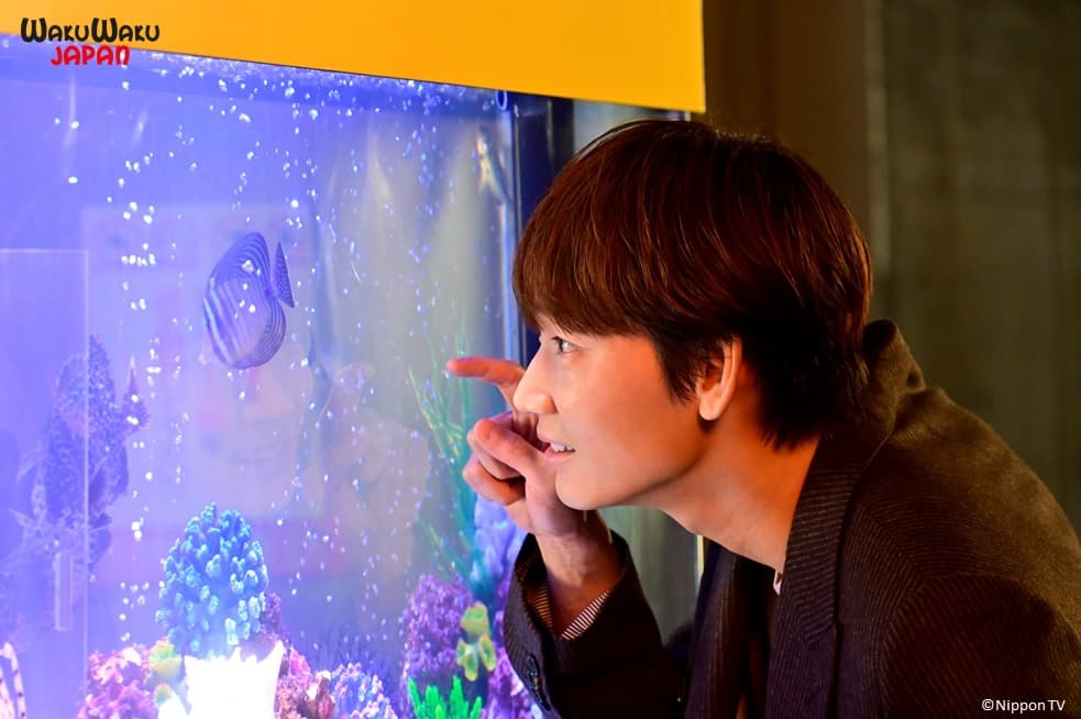 綾野剛與石原聰美主演日劇《深深地戀愛》,浪漫劇情讓觀眾看得心跳加速。(WAKUWAKU JAPAN 提供)