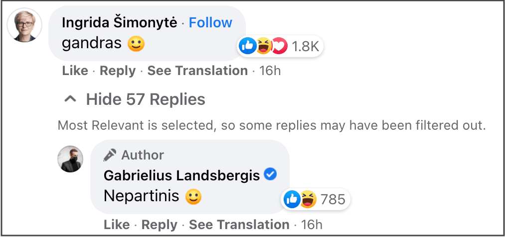 立陶宛總理希莫尼也留言「是白鸛」。(翻攝Gabrielius Landsbergis臉書)