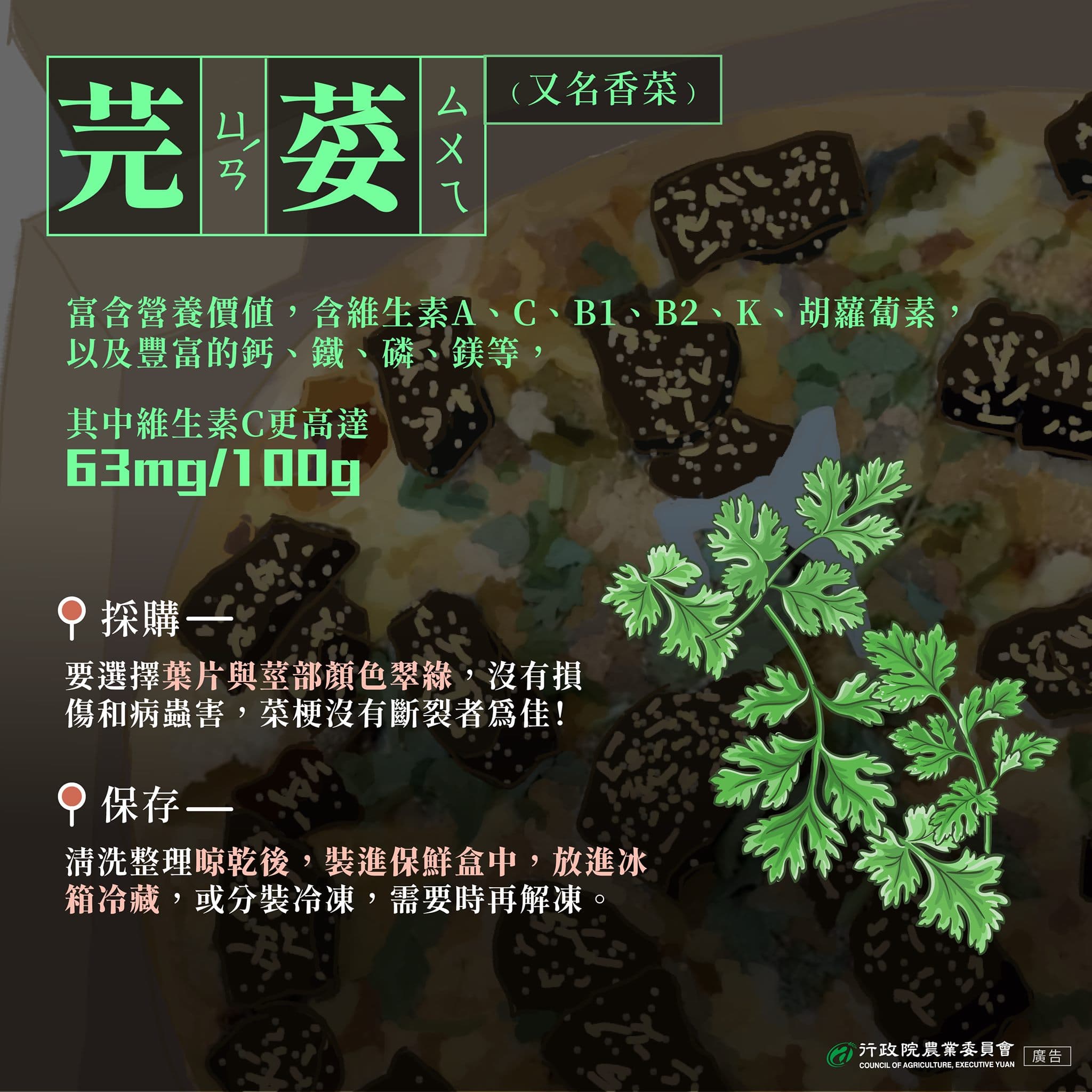 香菜富含營養價值，每100克維生素C比番茄多3倍、胡蘿蔔素也高出黃瓜10倍。 （翻攝自農委會臉書）