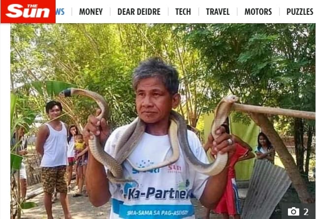 自稱對蛇類毒液免疫的阿爾瓦雷斯,遭咬後當場身亡。(翻攝《太陽報》Sun News)