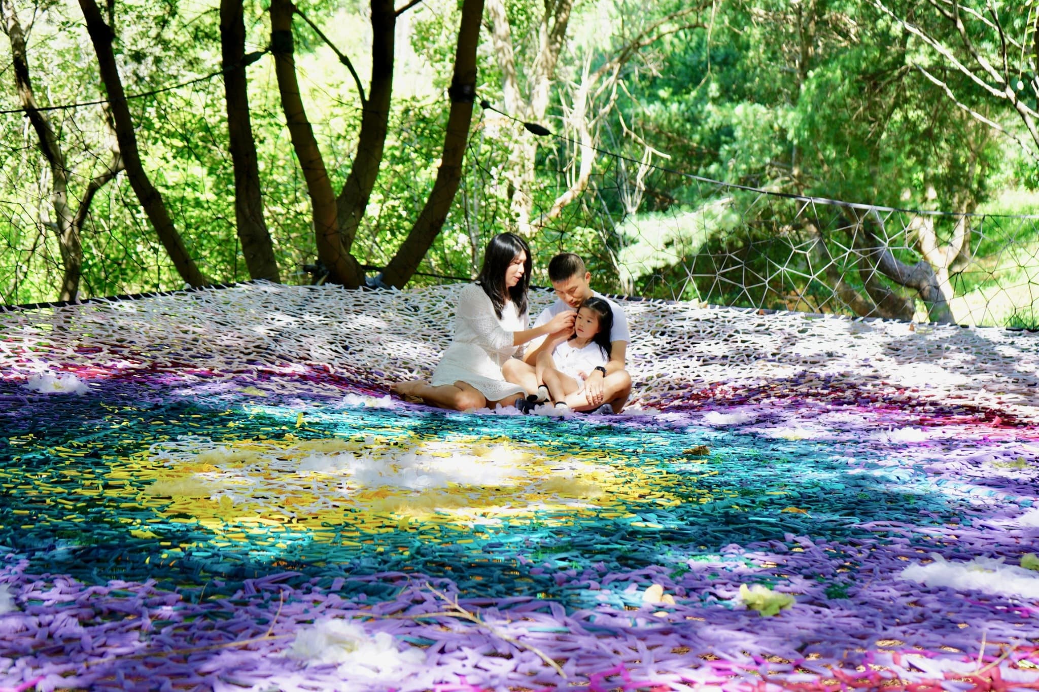 樹林間的藝術體驗「巢展」。