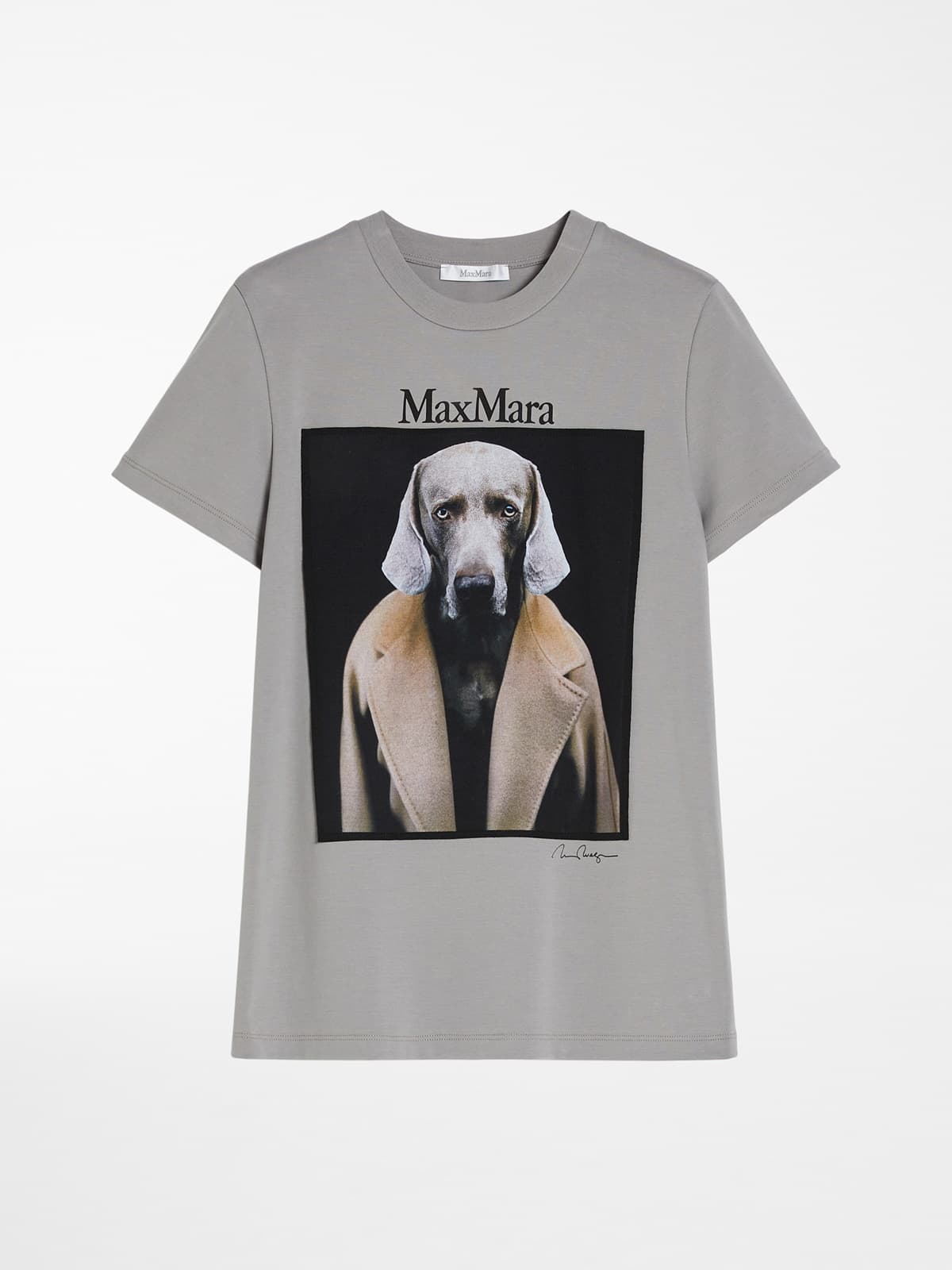 William Wegma拍攝的高貴優雅的威瑪獵犬穿著Max Mara 101801駝色大衣的攝影作品,NT$17,800。(MAX MARA提供)
