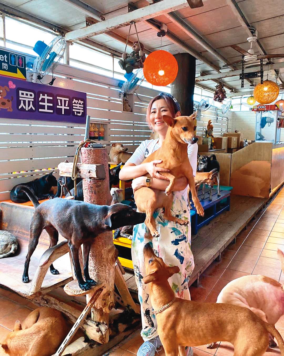 Selina相當關心社會議題,曾造訪流浪狗園。(翻攝自Selina IG)
