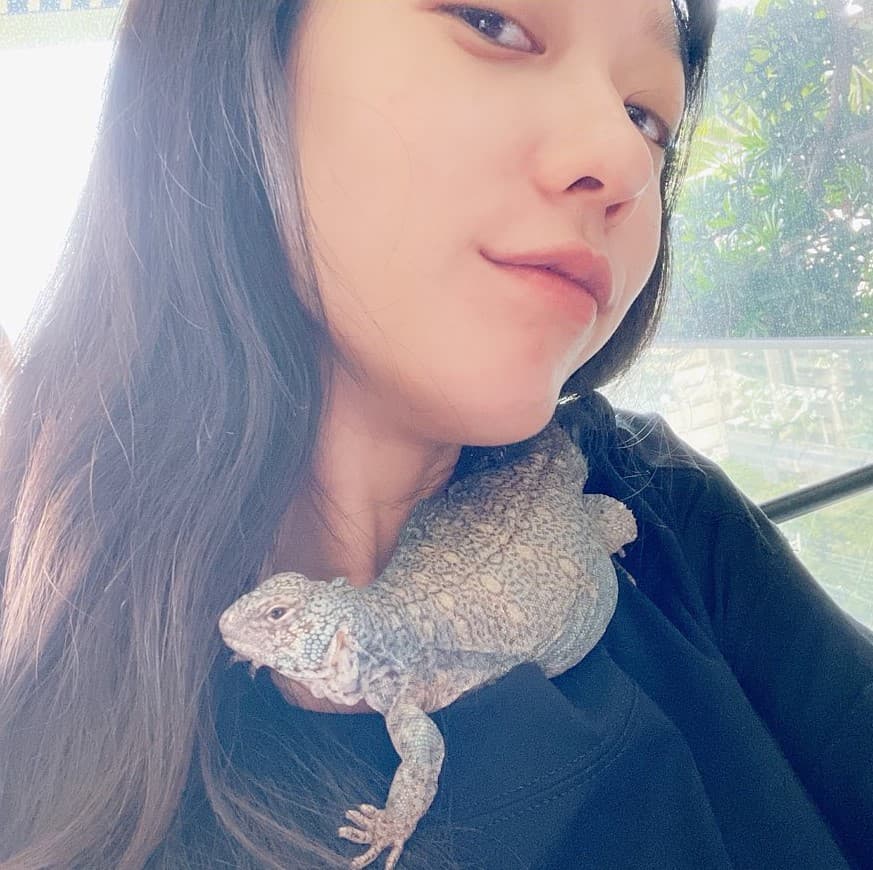 孟耿如分享寶貝寵物蜥蜴,俏皮拿牠來當圍巾。(翻攝孟耿如臉書)