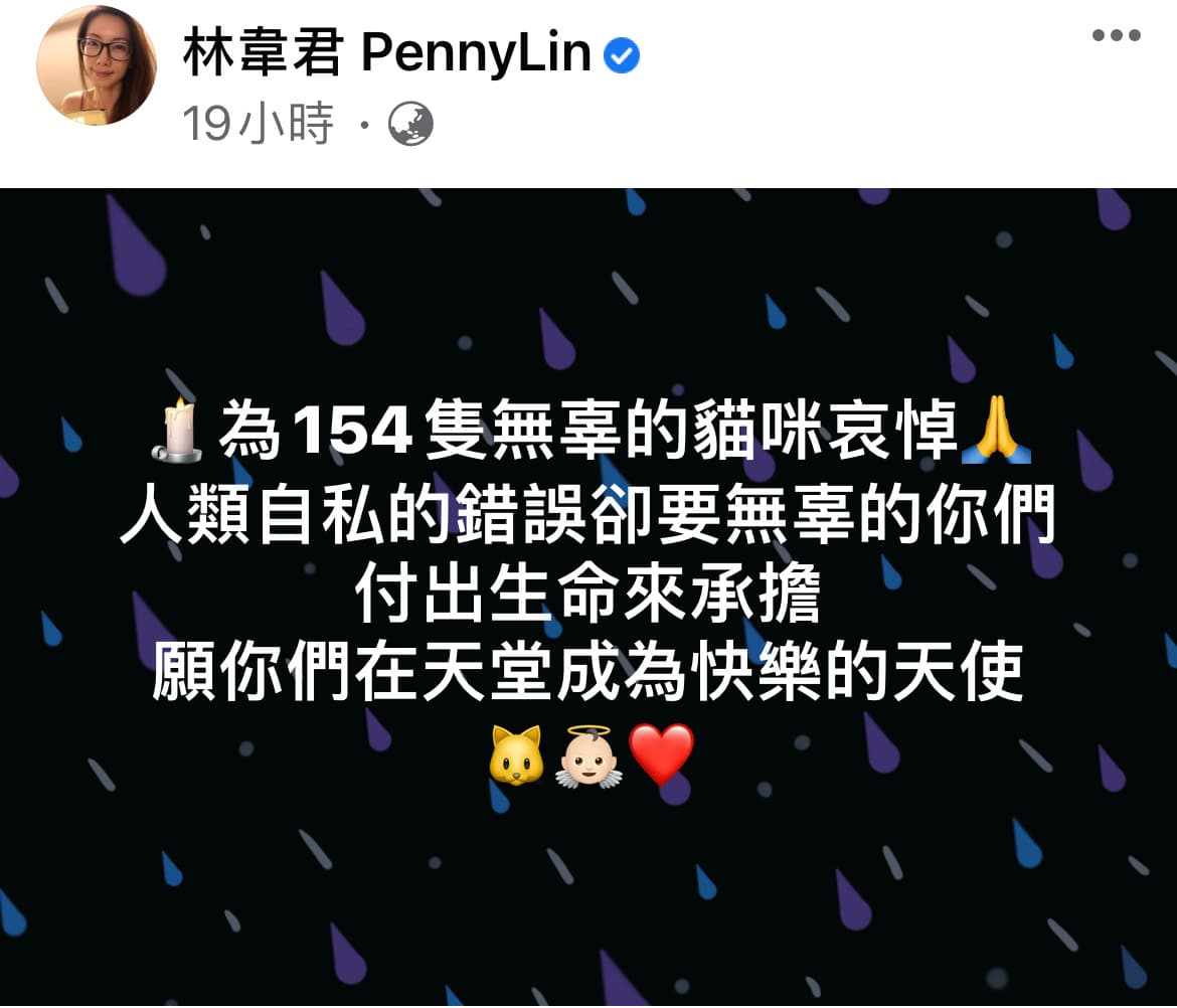 林韋君為154隻遭到安樂死的貓咪哀悼。(翻攝自林韋君臉書)
