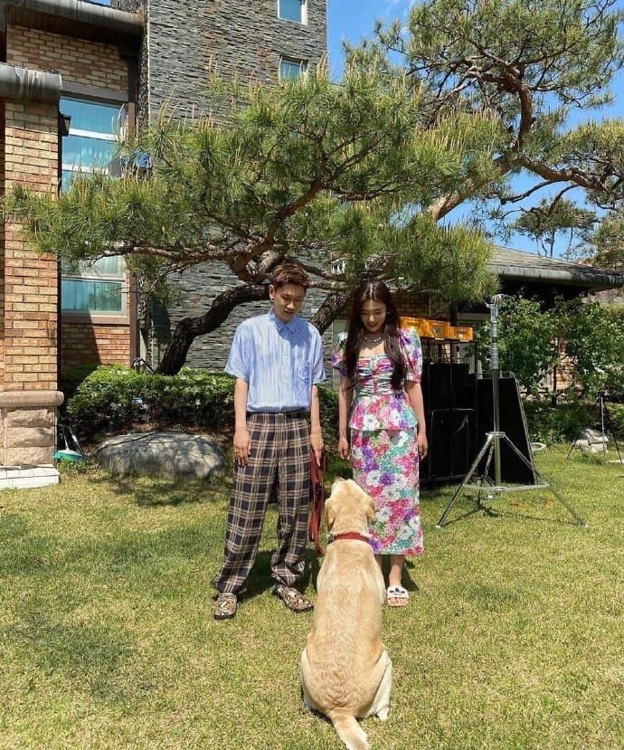 Crush與Joy都有養寵物,兩人經常帶著愛犬散步約會。(翻攝自網路)