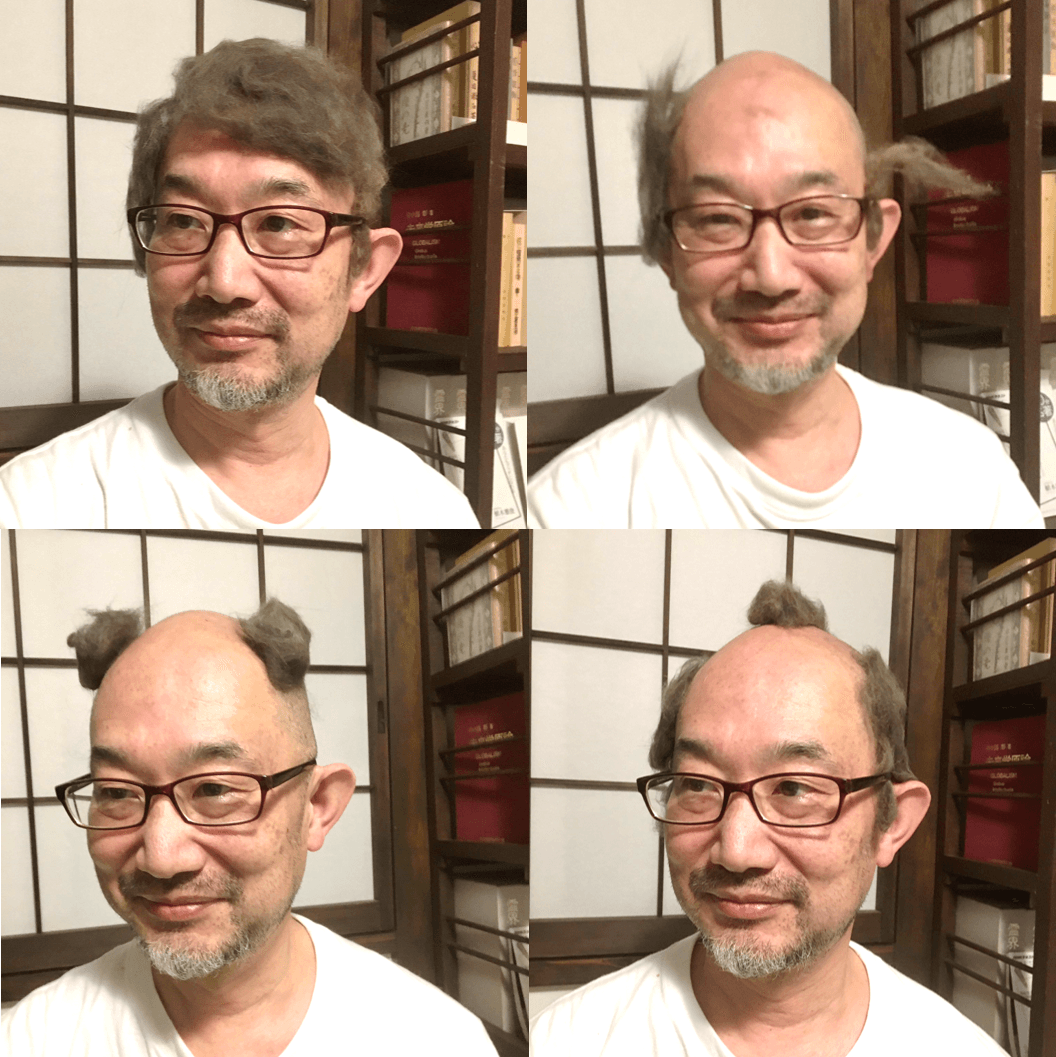 山口隆之還將貓毛假髮做成不同造型，各自設定有主題，左上：浪漫灰髮的帥大叔；右上：被風吹散的博士頭髮；左下：貓咪耳朵；右下：江戶時代的鄉民。（翻攝推特@FujizoushiBot）