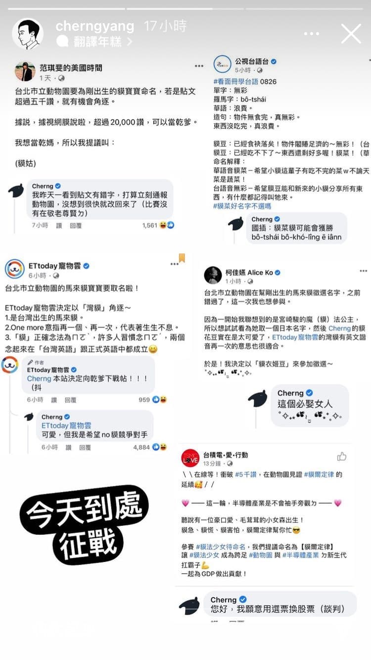插畫家Cherng為了讓自己提議的名字雀屏中選,到處到其他名人的提議貼文下留言「嗆聲」。(翻攝自Cherng IG)