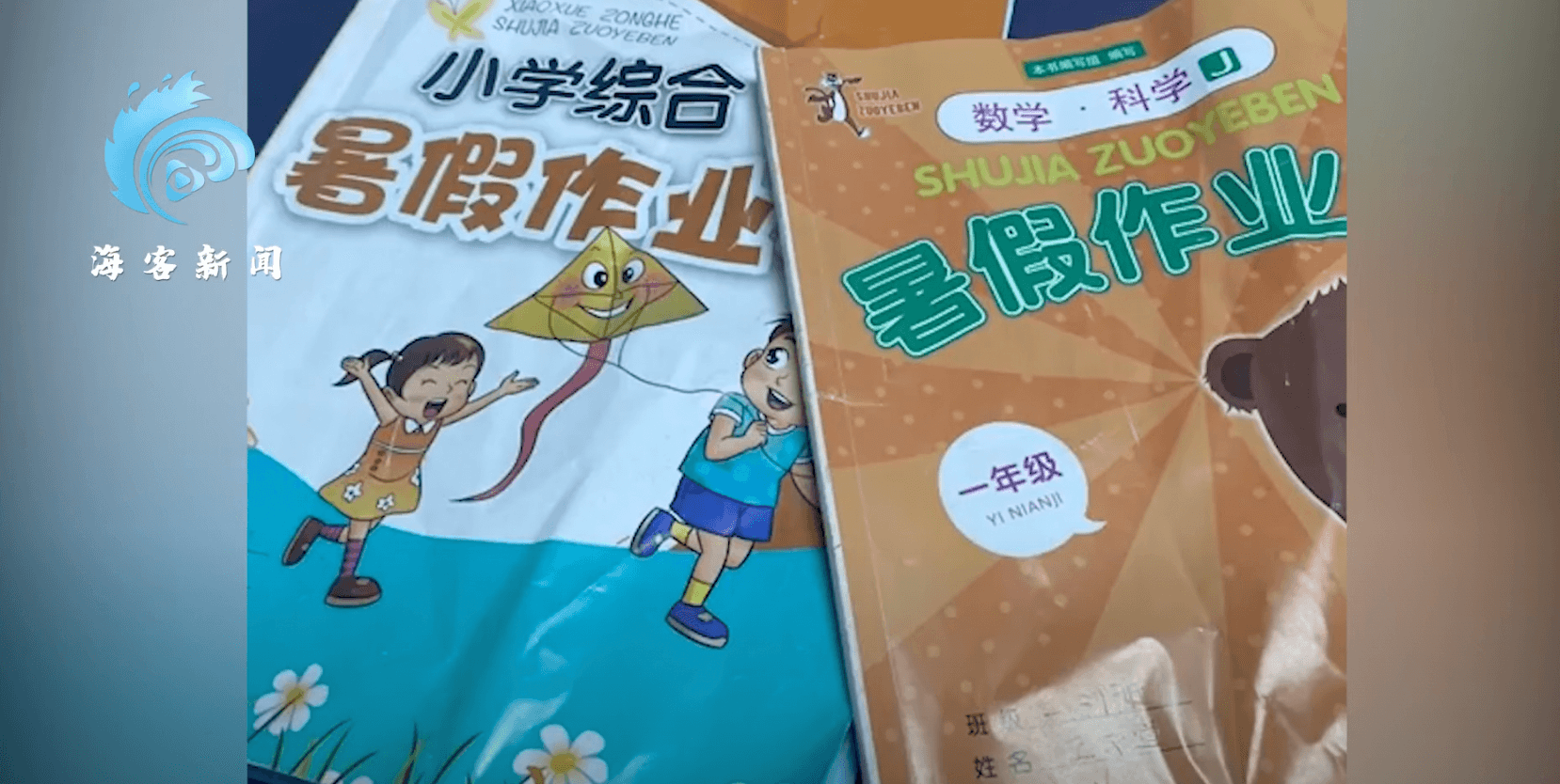 女童打算將不想寫的數學、科學等暑假作業捐出。(翻攝自海客新聞YouTube頻道)