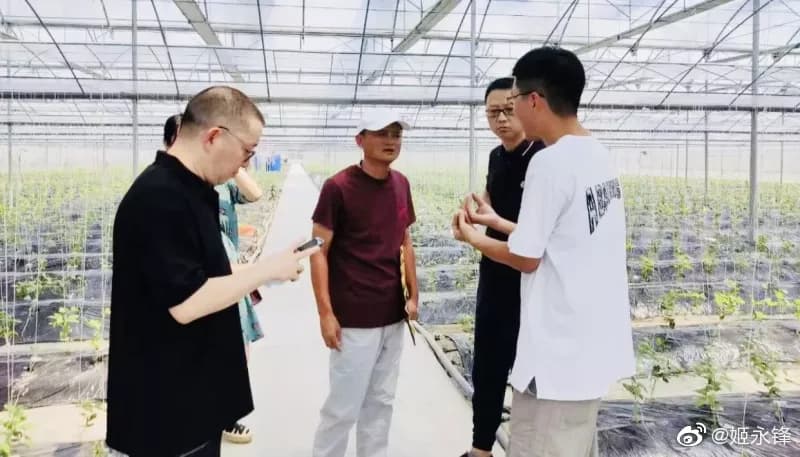 網友爆料阿里巴巴集團創辦人馬雲在消失4個月後,9月初在浙江嘉興參觀農業。(微博圖片)