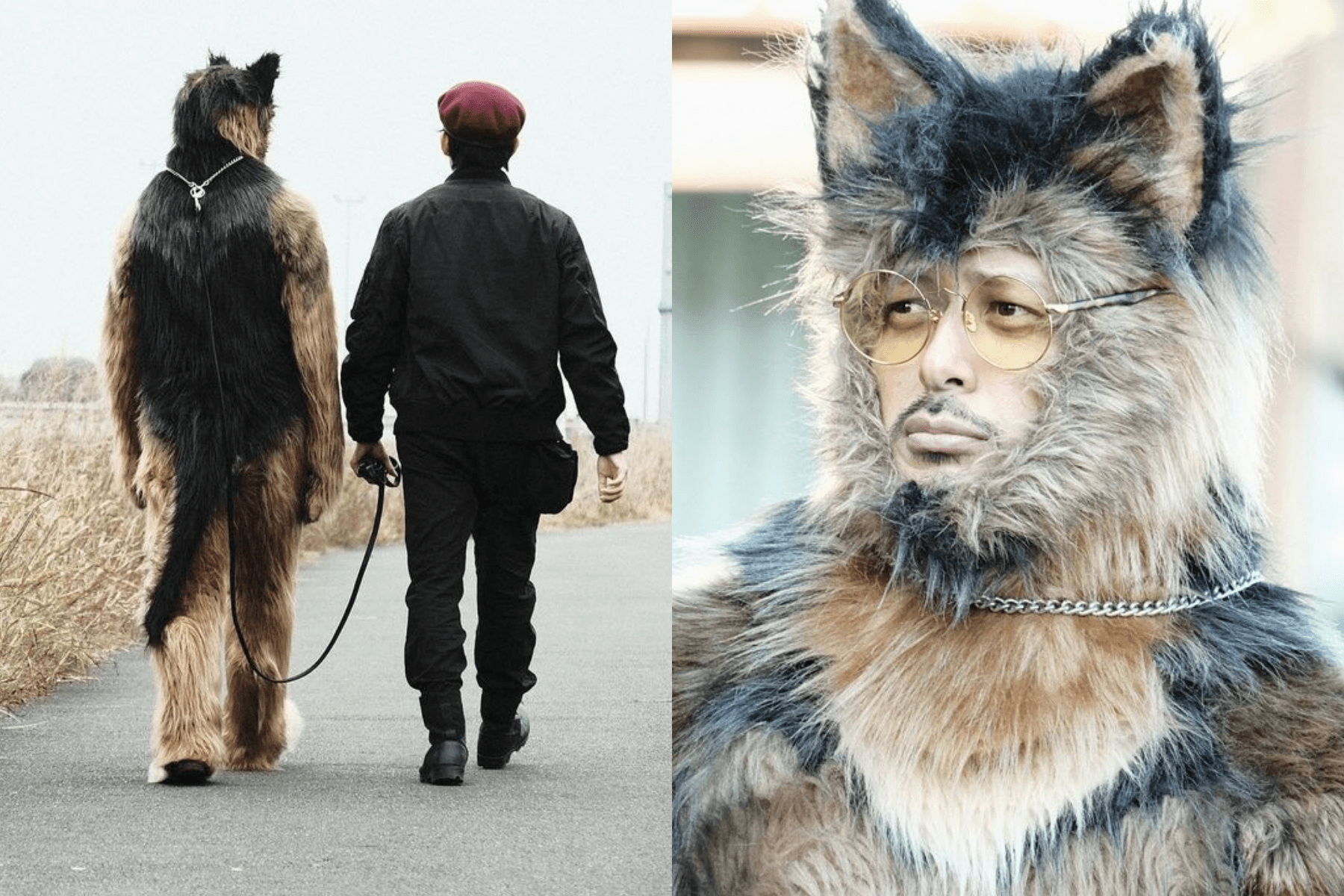 小田切讓扮演警犬的造型相當用心,不僅滿身毛還想「項圈」。(翻攝自@nhk_oliver IG)