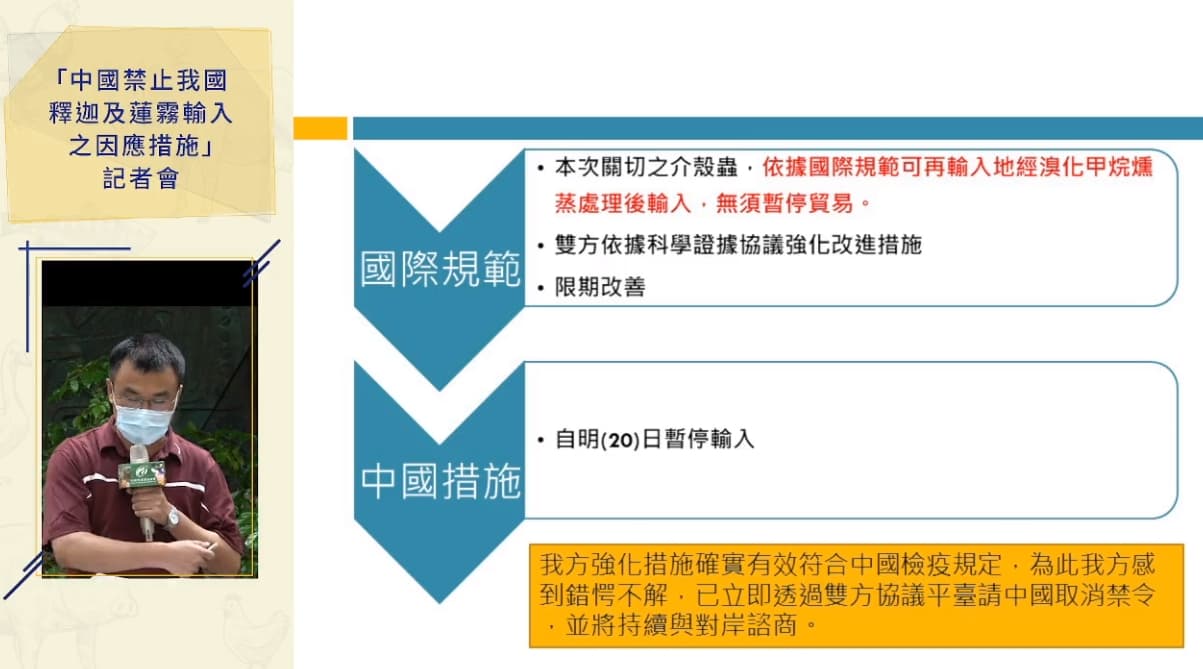 陳吉仲指出,「太平洋臀紋粉介殼蟲」並不是在果實裡面,依據國際規範可在輸入地進行燻蒸處理後輸入,無須暫停貿易。(翻攝自動植物防疫檢疫局-防疫小尖兵臉書直播)
