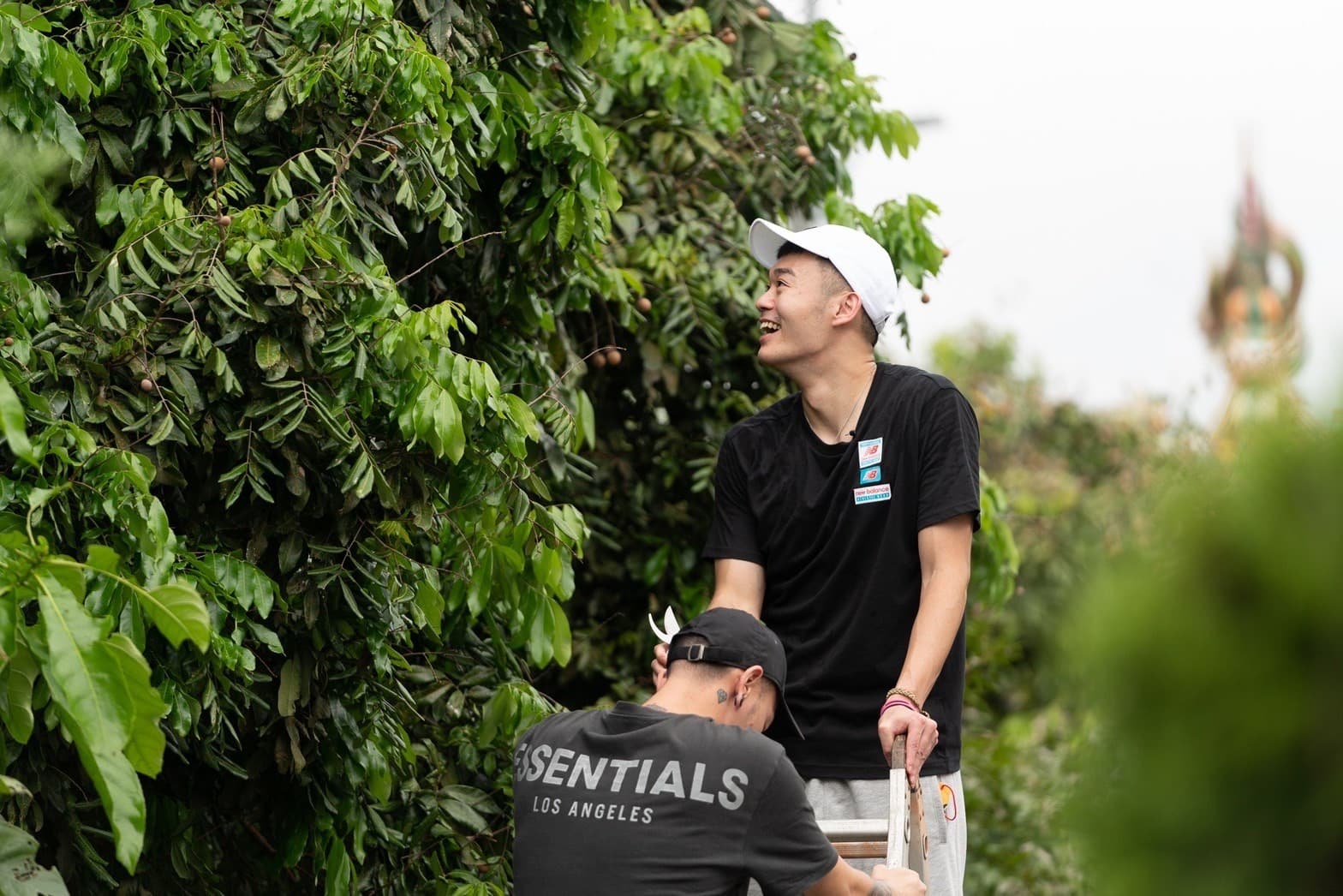 王齊麟雖然身高188,但爬高剪龍眼還是會懼高。(台視、好看娛樂提供)