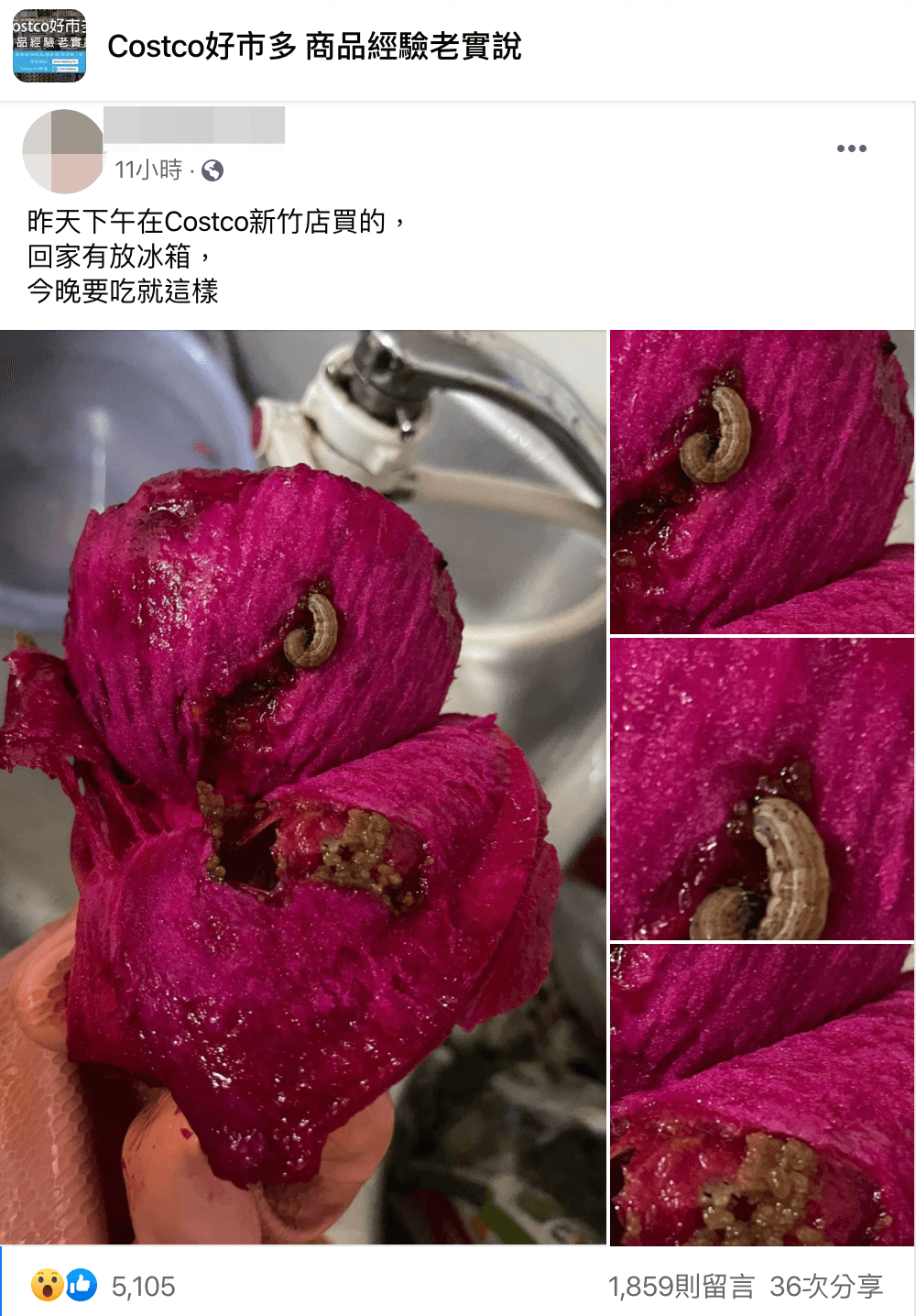 一名網友分享在好市多購買的火龍果內有超肥美的蟲。(翻攝自Costco好市多 商品經驗老實說臉書)