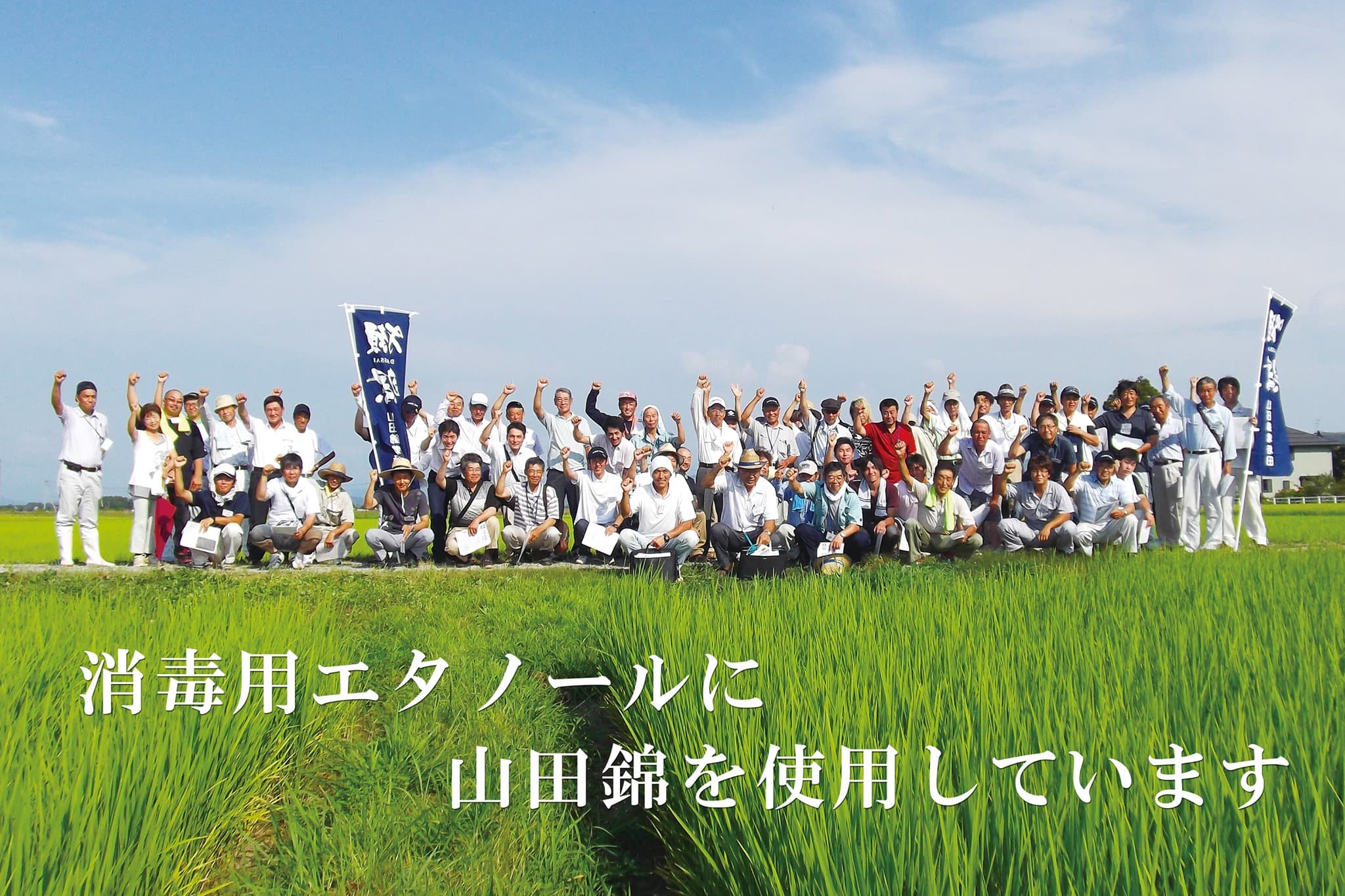 因為疫情影響,食用米的市場價下跌約三成,獺祭的製造廠《旭酒造》,依舊以去年同樣的價格與數量向契作農民採購酒米山田錦,期望一起共度難關。(翻攝獺祭FB粉絲團DassaiSake)