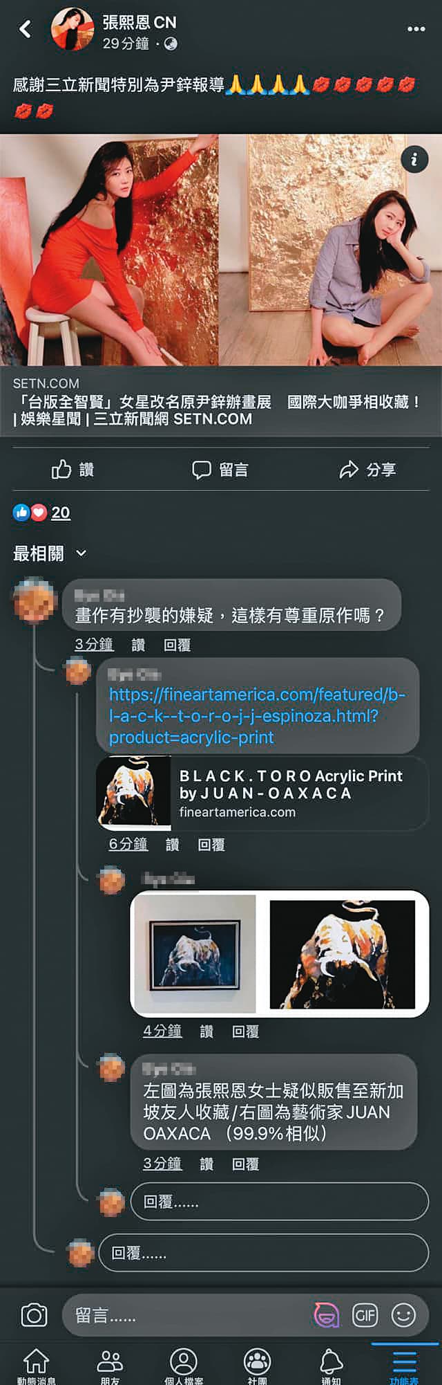 網友曾在張熙恩臉書提醒畫作涉嫌抄襲,後張將留言隱藏。(翻攝自張熙恩CN臉書)