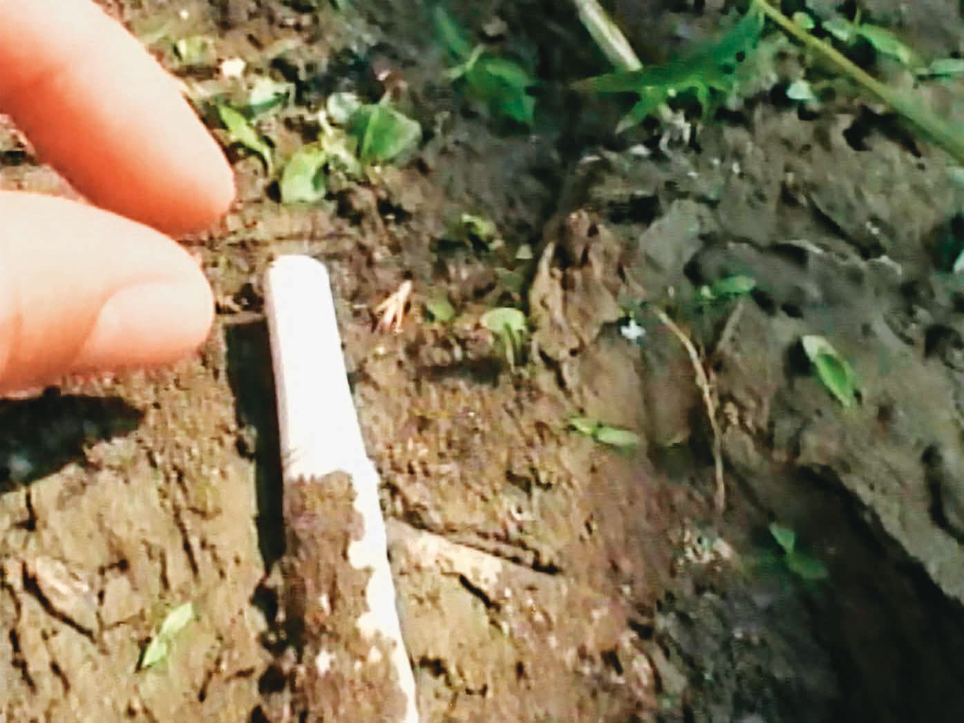 警方重回命案現場,找到一根菸蒂,並驗出凶手唐永吉的DNA。(東森新聞提供)