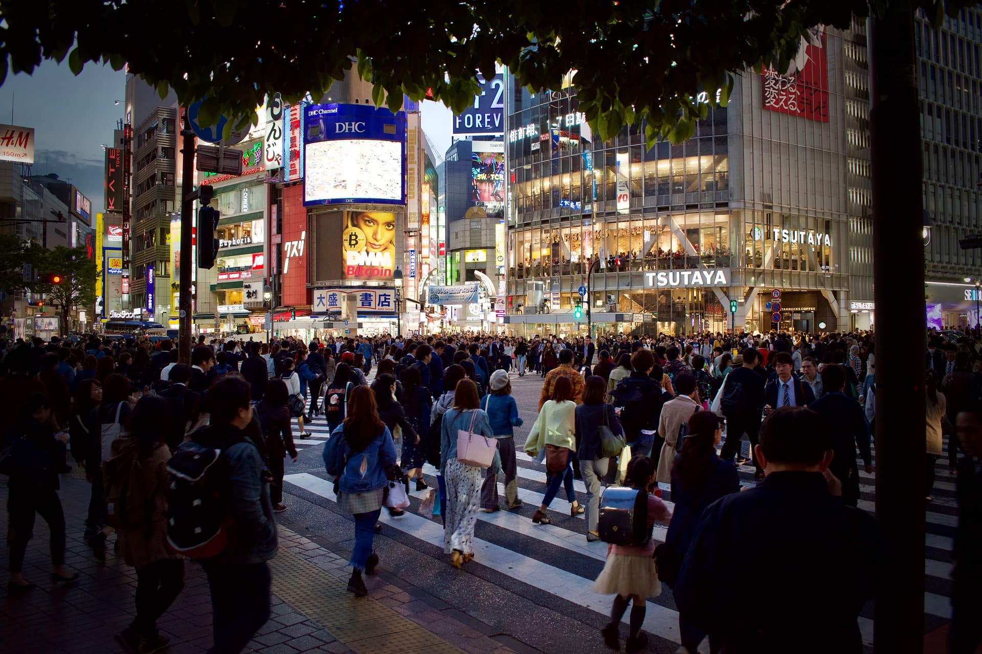 日本人偏瘦原因在Dcard引發討論,也有人認為是文化不同。(Pixabay)