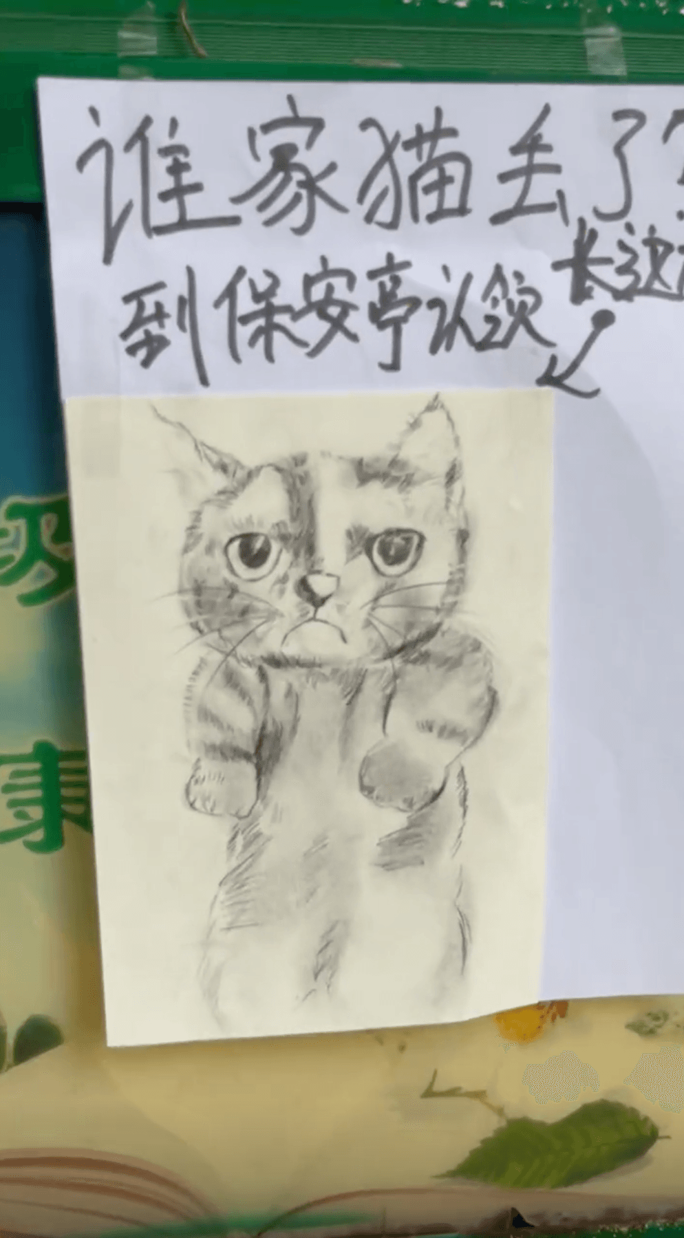社區保全畫了一張走失貓咪的畫像尋找鏟屎官。(翻攝自小五他爹抖音)
