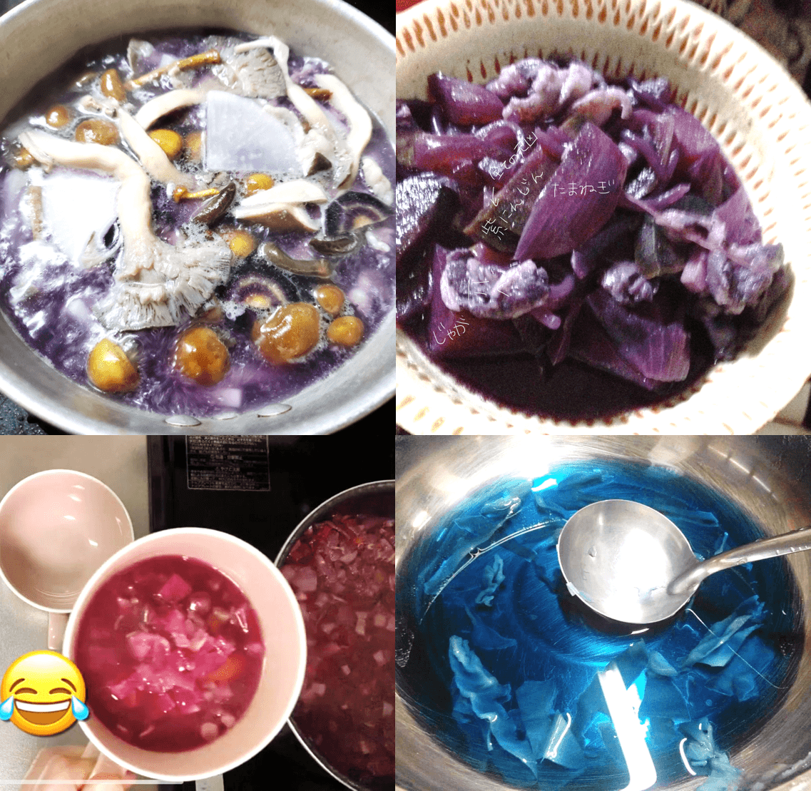 網友們分享自己用紫白菜、紫蘿蔔等食材煮出的視覺系料理,因為搭配食材的酸鹼性不同,而產出不同藍紅色系。(圖片翻攝推特@PaintersAdvent/@writing_nm_/@beyooooondseri/@KuriNishiki)