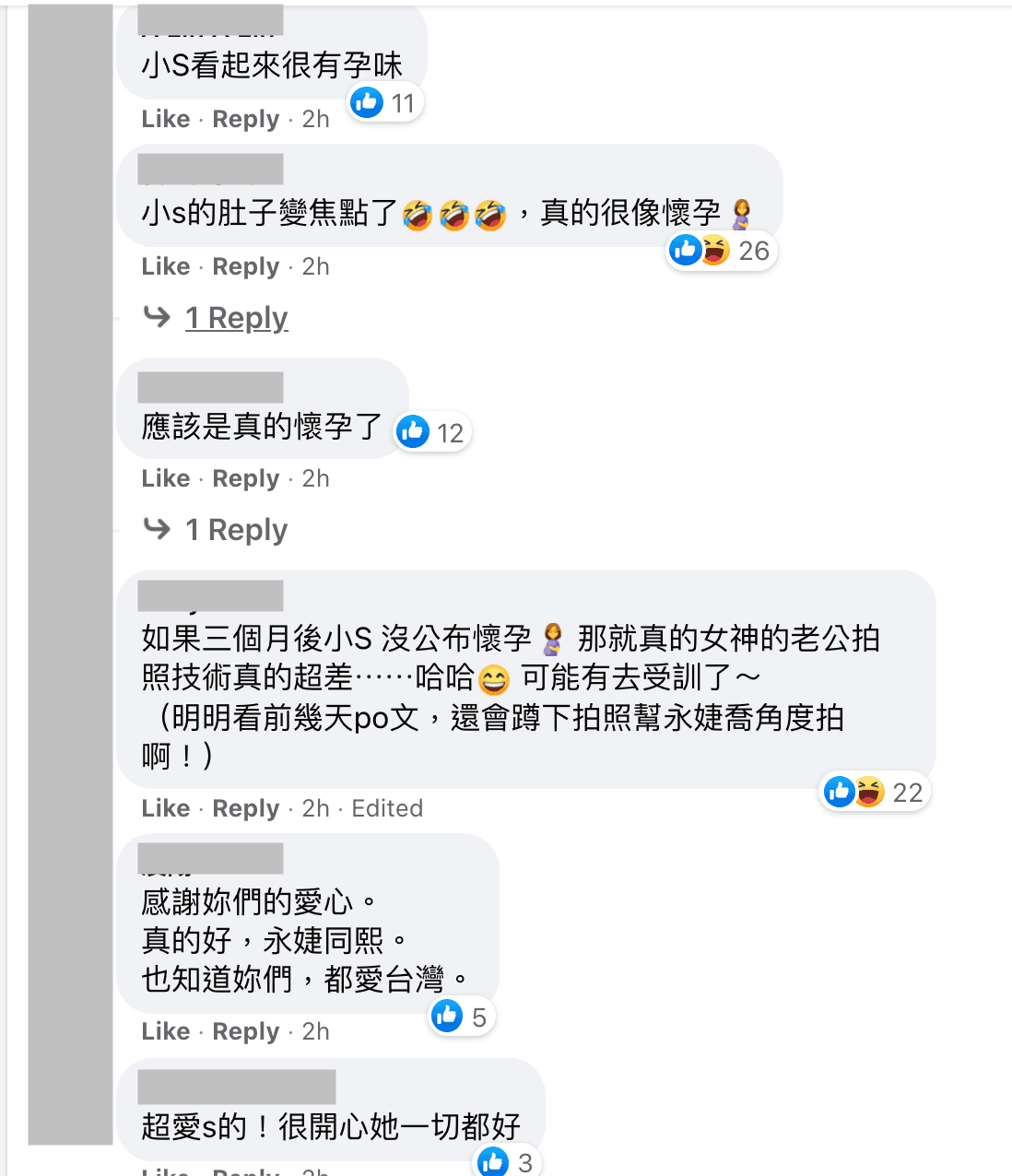 網友們紛紛猜測小S是不是懷孕了。(翻攝賈永婕臉書)
