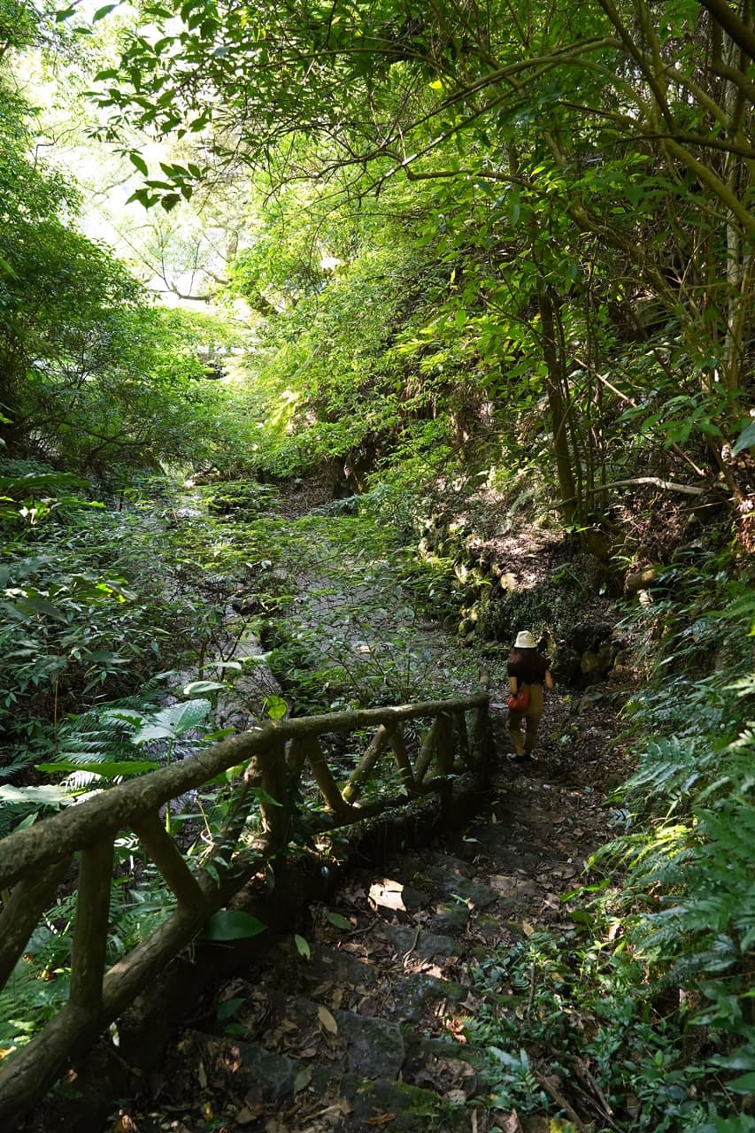 無需跋山涉水,只要走過步道,步行5分鐘就能聽見潺潺流水聲。