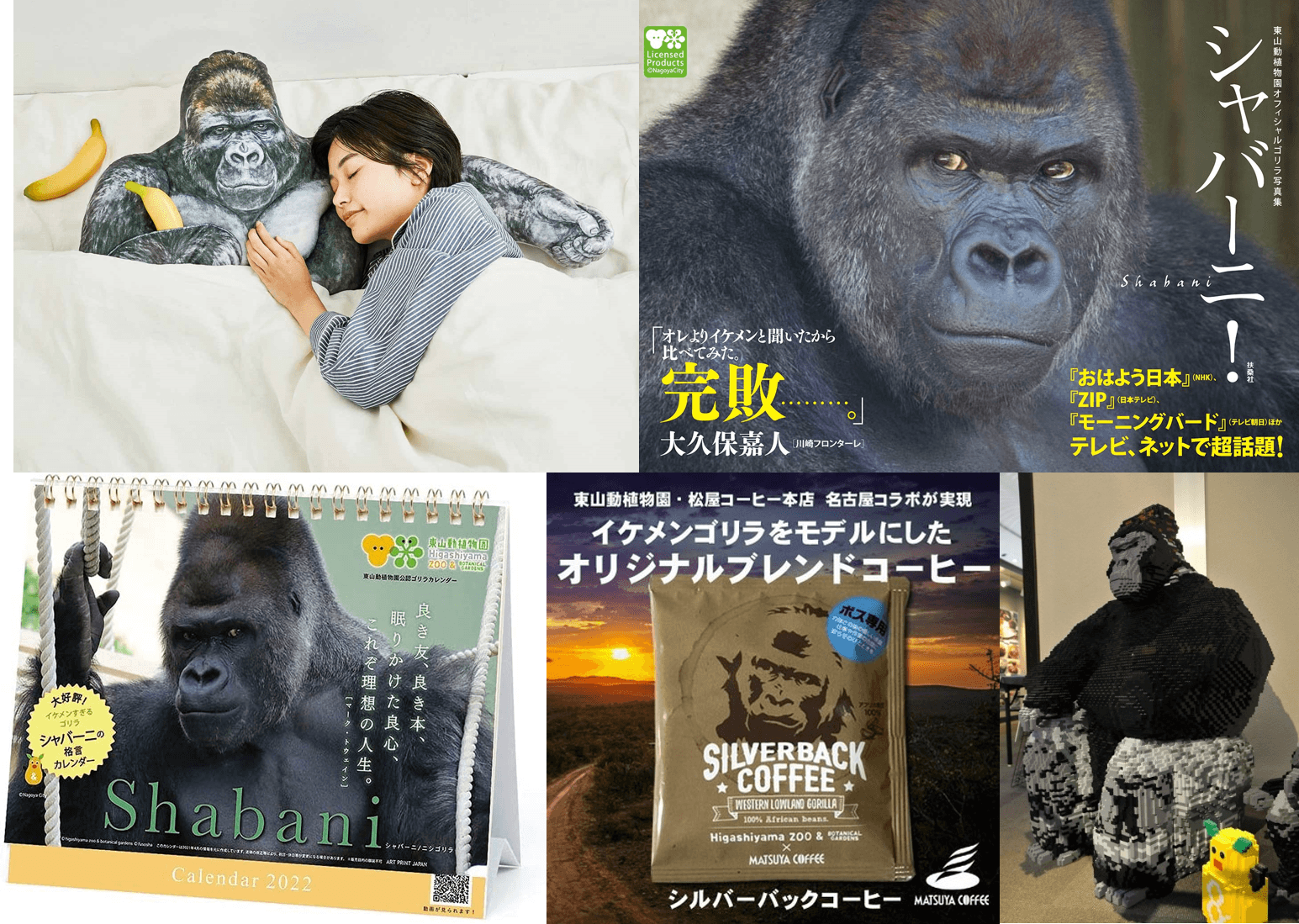夏巴尼因帥氣的外型與姿態爆紅,出過不少周邊商品,除了寫真集外,還有男友力十足的抱枕。也因高人氣,名古屋車站曾架設牠的大型樂高模型。(圖片翻攝amazon.co.jp/《東山動植物園》官網)