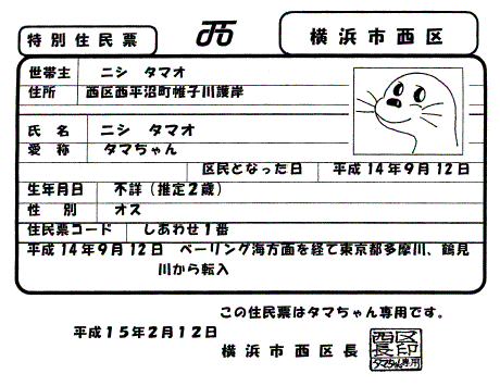 小玉醬有特別住民票。(翻攝自推特)