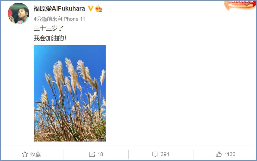 福原愛4日在微博寫在10字和一張尾草的照片。（翻攝福原愛微博）