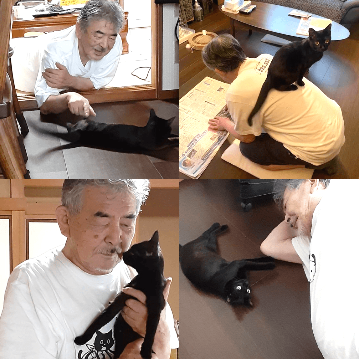 原PO經常在推特分享爸爸與黑貓RURU的可愛日常,笑稱通常是寵物會越來越像飼主,但爸爸卻是逐漸貓化。(圖片翻攝推特@ turi2018)