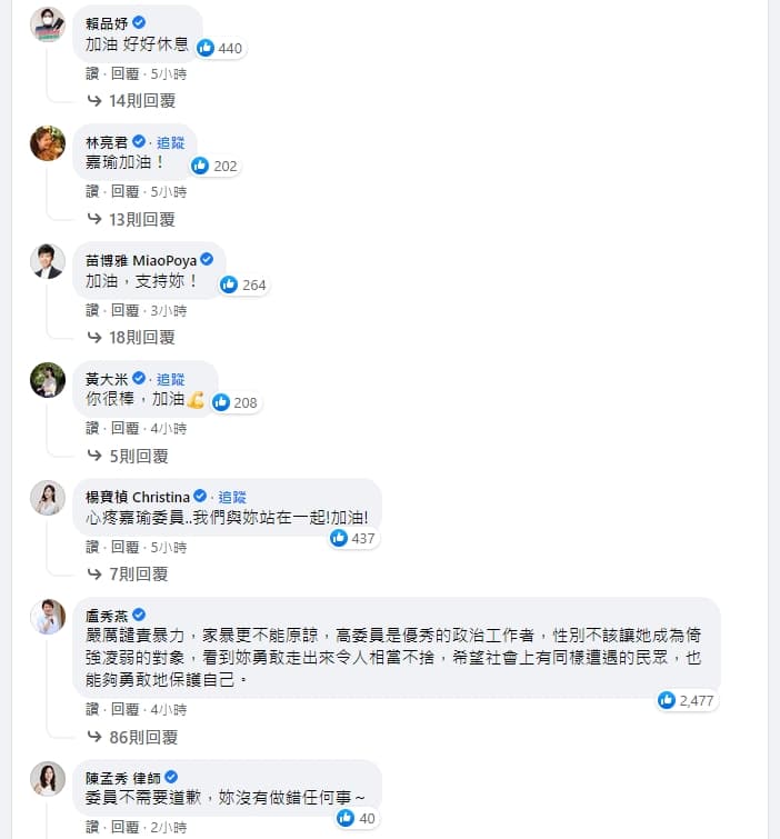 高嘉瑜遭男友施暴,不分黨派政治人物都發聲力挺。(翻攝臉書)