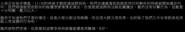 花蓮縣上月30日發生一起大規模泯滅人性毒狗事件,有網友表示看過該群狗。(翻攝自PTT)