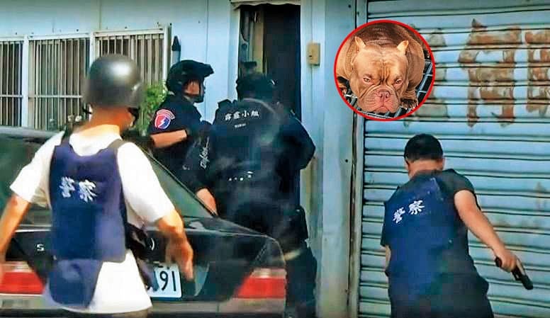 最近不少罪犯飼養猛犬當作警戒、防身工具,也成為警方執勤的隱憂。(翻攝畫面)