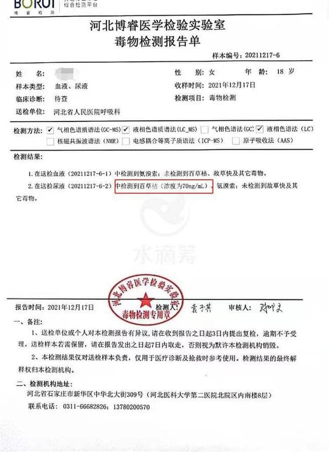 萌萌的檢驗報告驗出劇毒農藥百草枯。(翻攝網易)