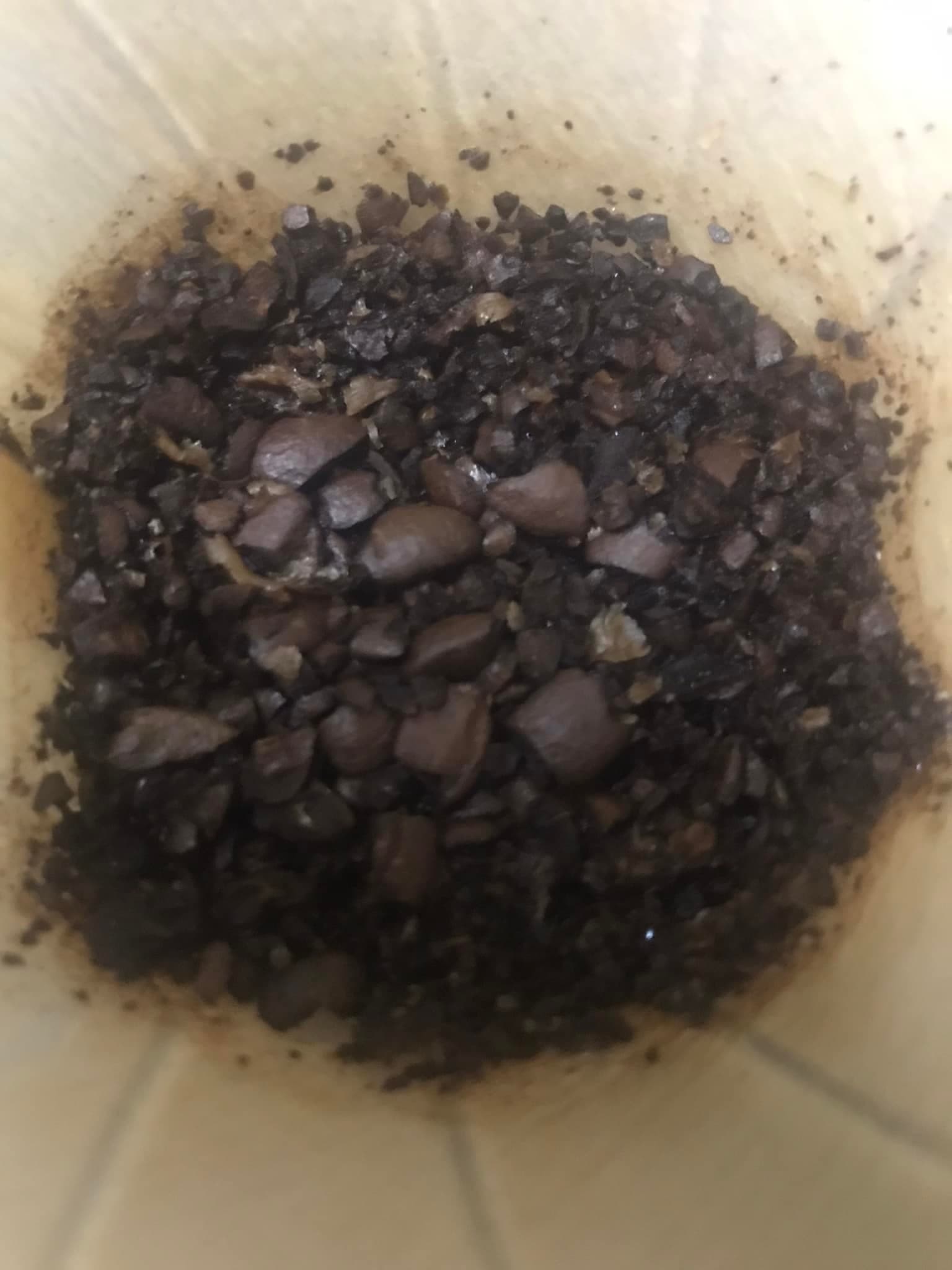 有名好市多顧客分享咖啡豆手沖經驗,結果一堆網友發現「咖啡粉」研磨的大小根本宛如咖啡豆碎屑。(翻攝自Costco好市多 商品經驗老實說)