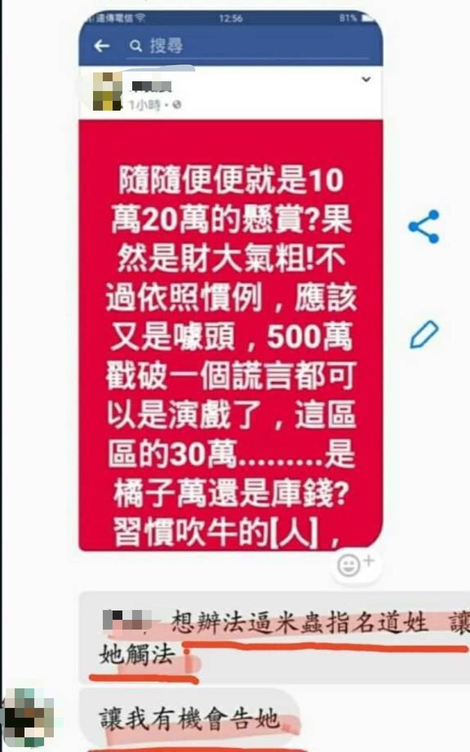 林女曾對網友下指導棋,要對方設局陷害其他愛媽。(讀者提供)