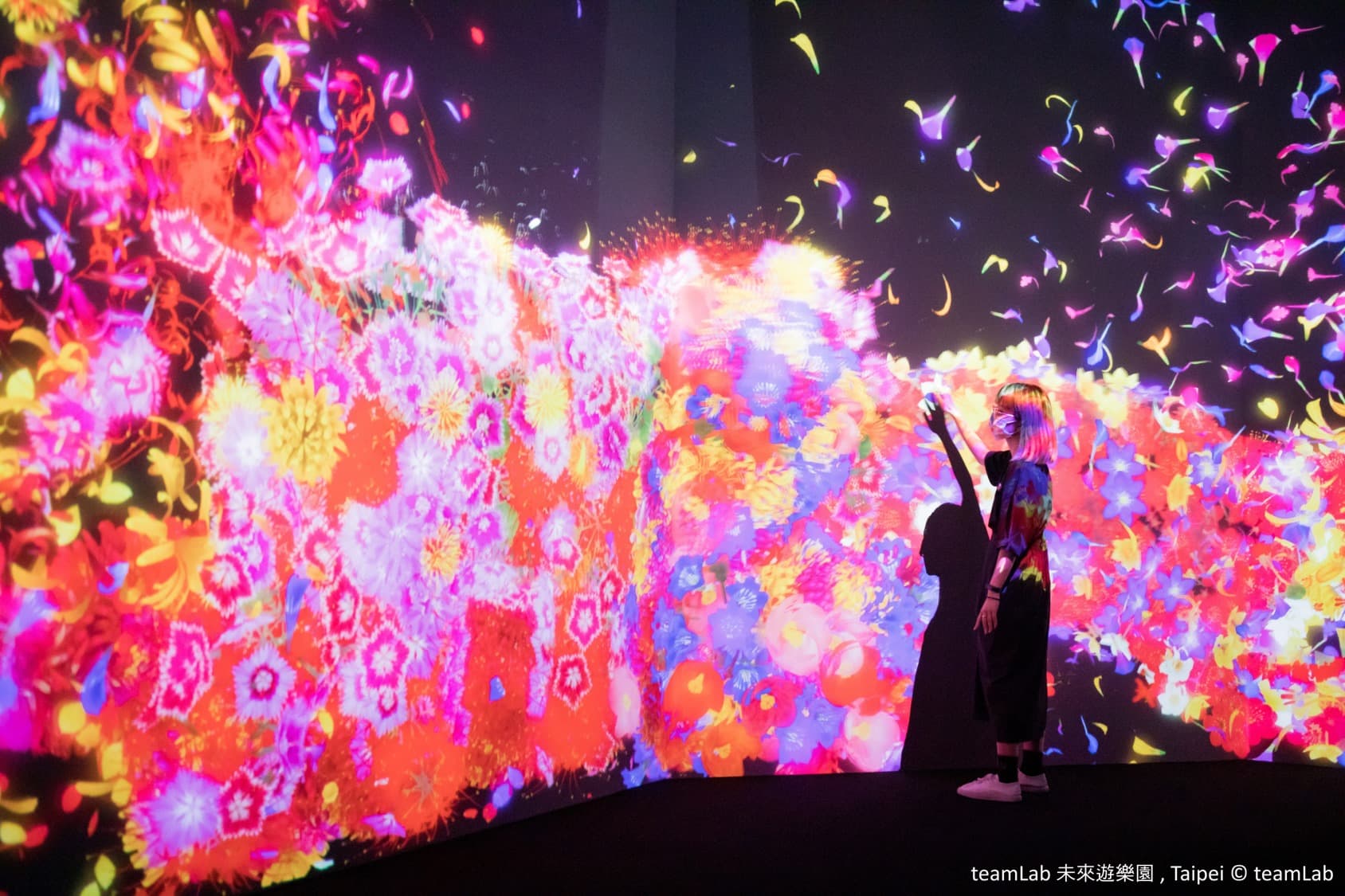 只要輕觸光影,花朵就會散開凋零。(取自teamLab 未來遊樂園臉書)