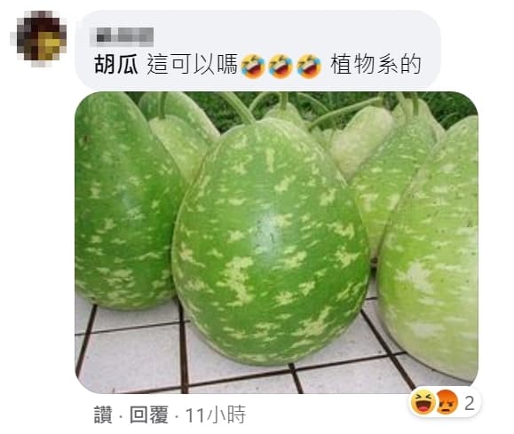 網友找到真的「胡瓜」照片，搞笑問「這可以嗎🤣🤣🤣 植物系的」。（翻攝自胡瓜臉書）