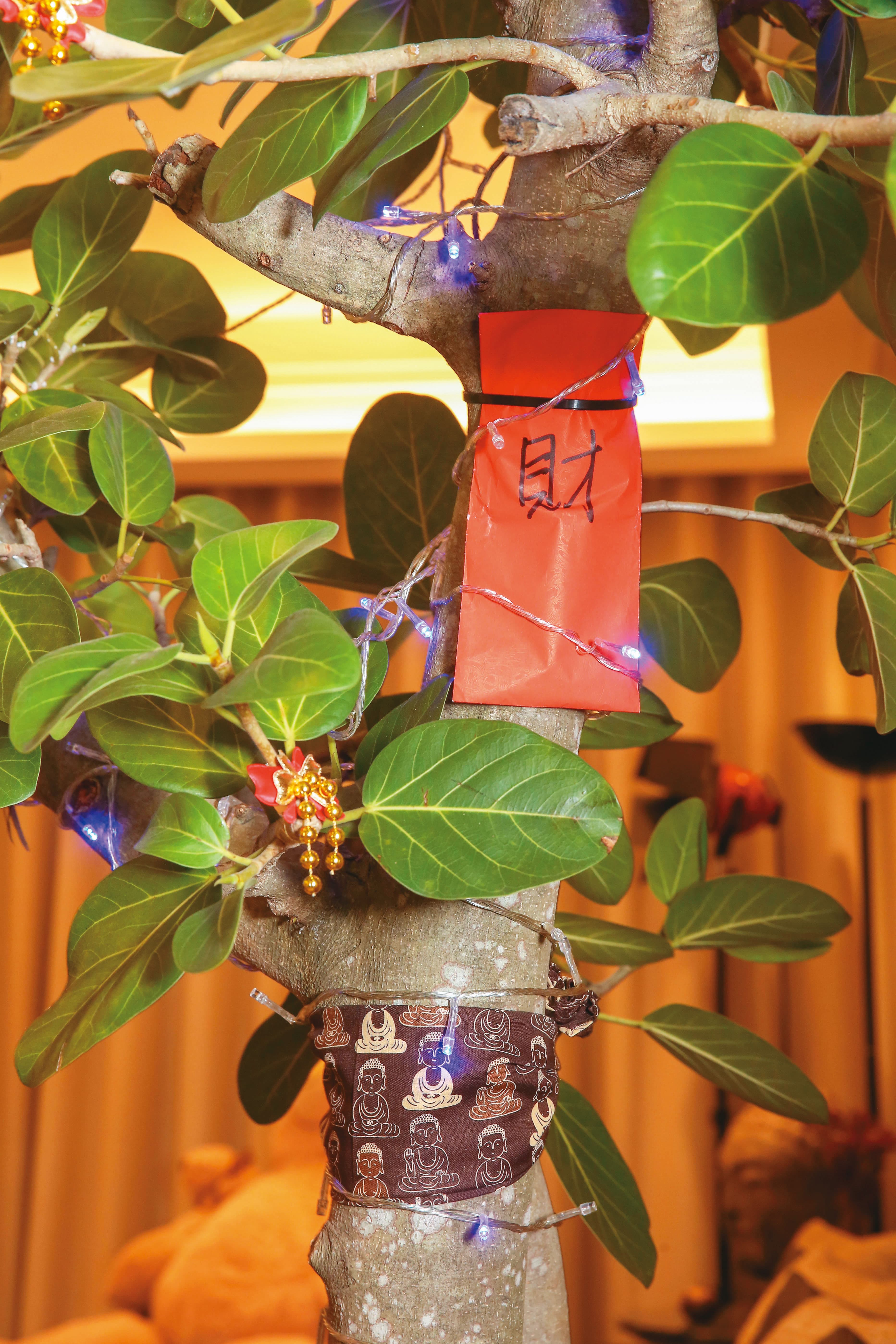 在樹枝綁上紅包、釋迦牟尼佛手巾，詹惟中營造開門見佛、見紅包的喜氣。