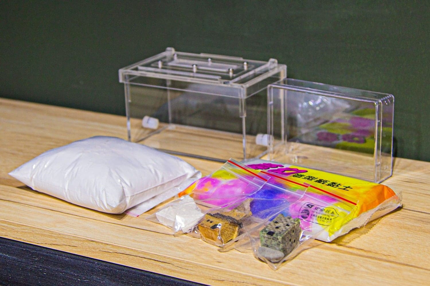 國內寵物螞蟻專賣店的技術成熟,提供全套飼育器具,並有專人進行飼養教學。(示意圖,翻攝螞蟻帝國臉書)