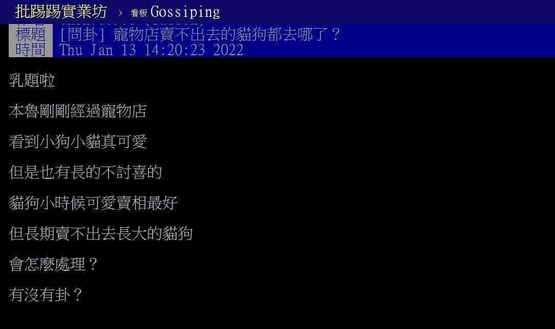 有網友在PTT八卦板問，寵物店賣不出去的貓狗都去哪了？（翻攝PTT八卦板）