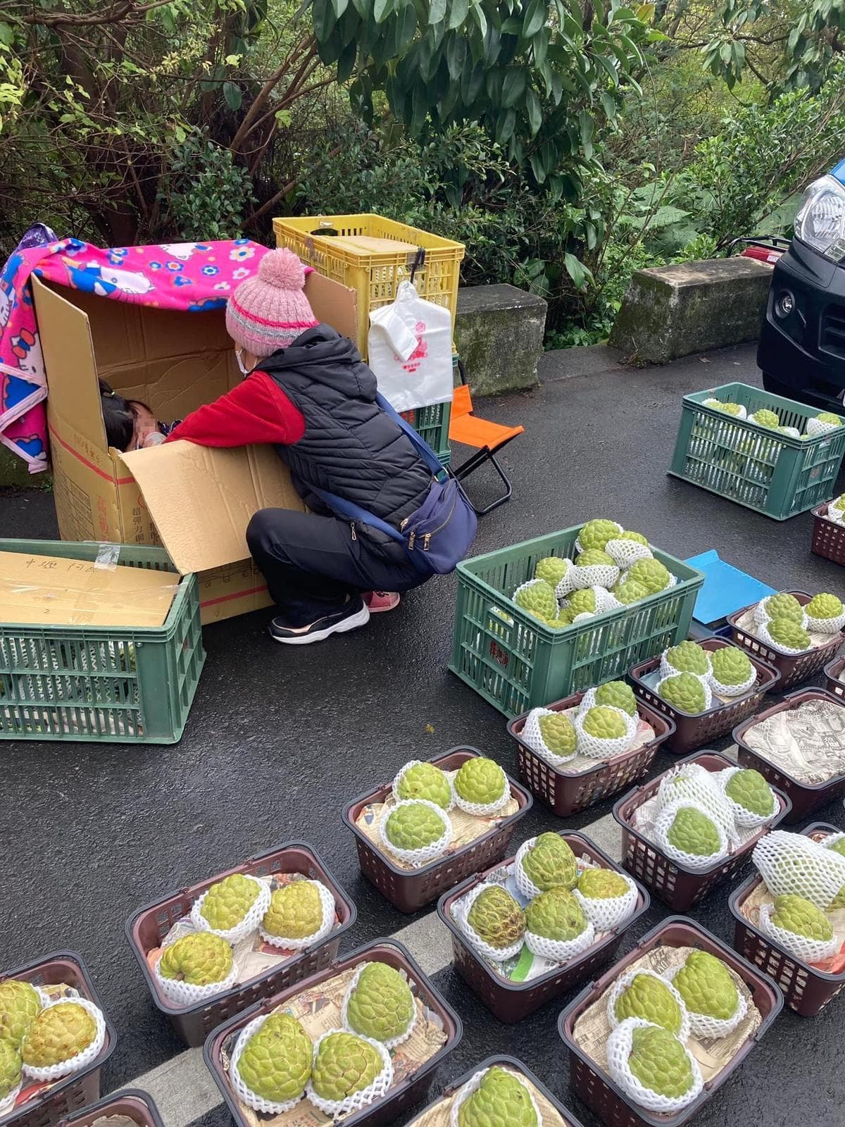 在虎頭山賣釋迦擺攤的一名母親,將孩子放在身後的紙箱內照顧。(翻攝自桃園媽媽-李柏瑟臉書)
