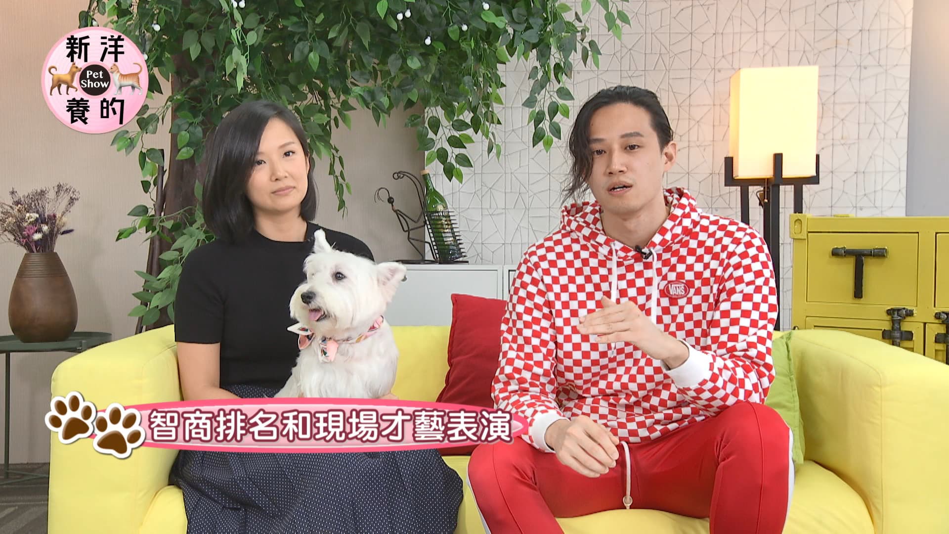 徐新洋開心自己升格當舅舅,PO出和妹妹上節目合照。(JET提供)