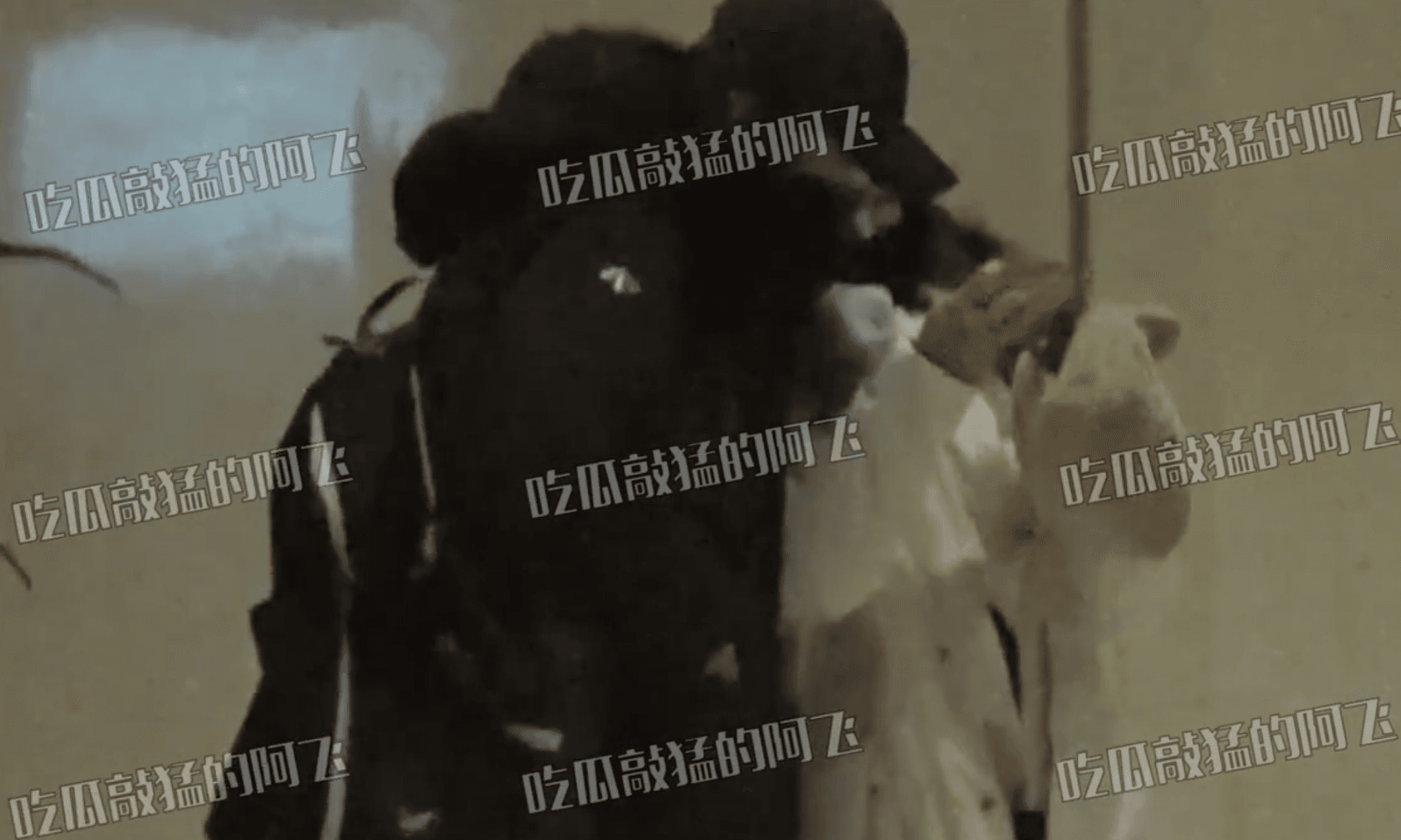 陳妍希舉著手機與老公陳曉一起看,小鳥依人太甜啦。(截圖自影片)