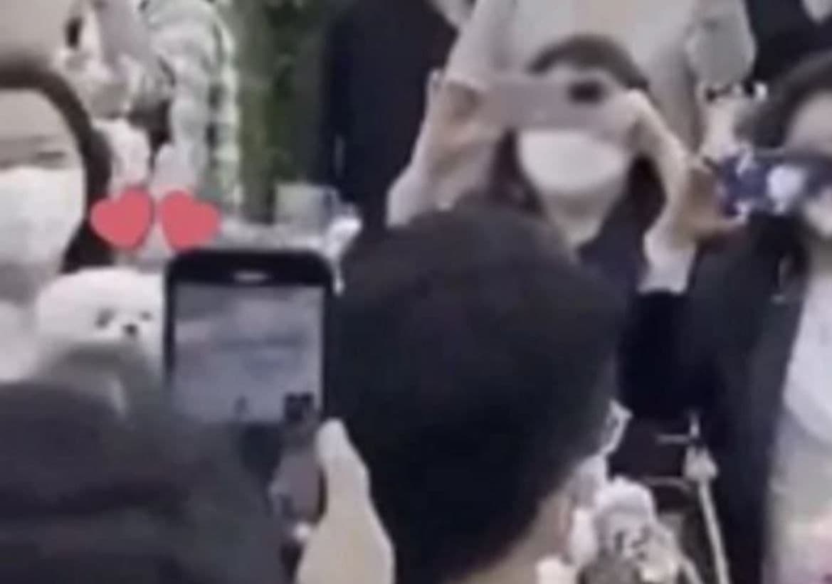 Kitty乖乖地待在孫藝真好姐妹孔曉振懷裡,眼睛追隨著孫藝真不放。(翻攝The insight網站)