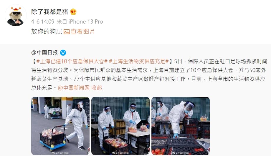 網紅可子打臉官媒《中國日報》報導,甚至還狠嗆「放你的狗屁」。(翻攝自除了我都是豬 微博)